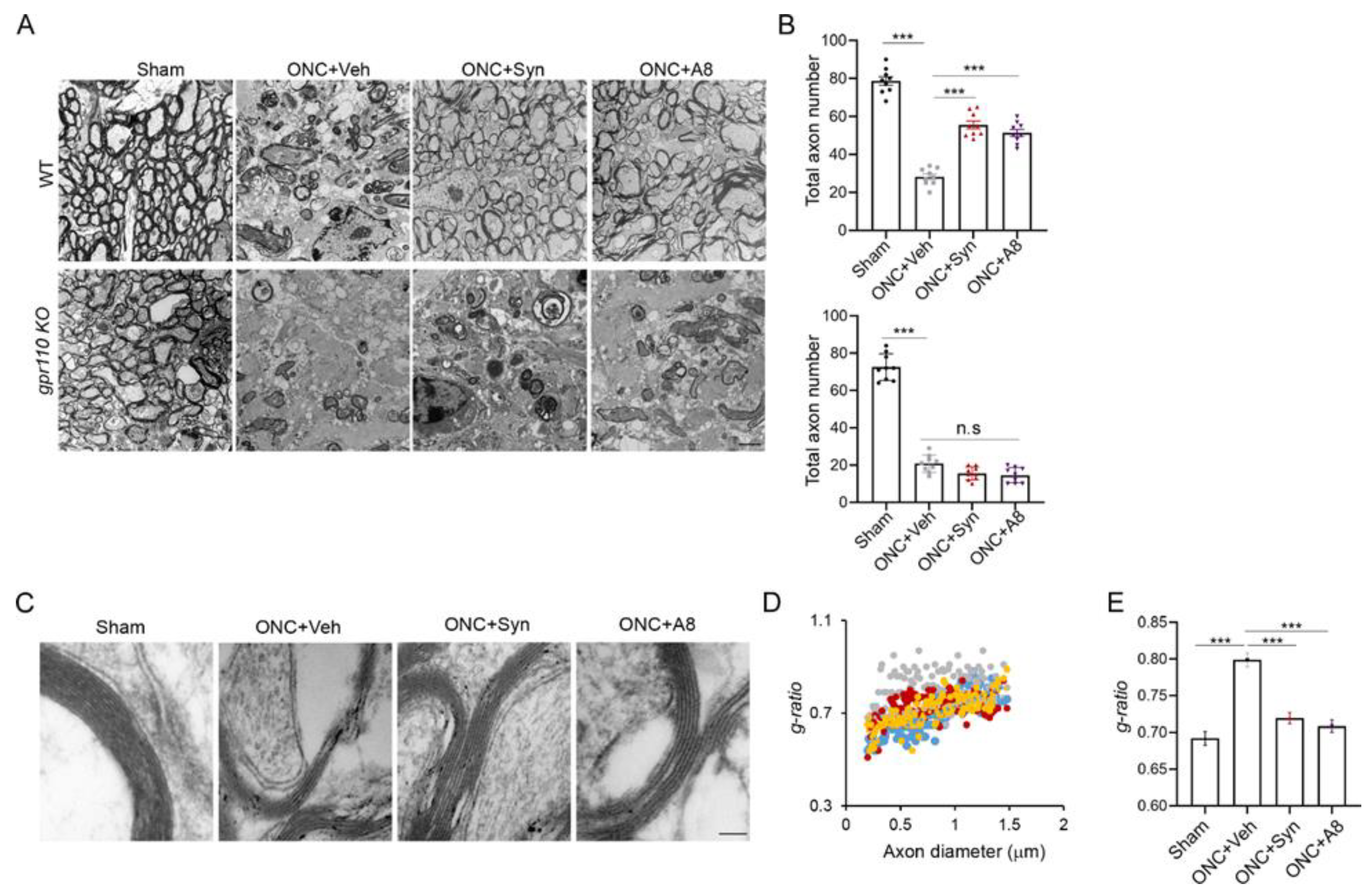 Ijms 24 05340 g005 Ijms 24 05340 g005