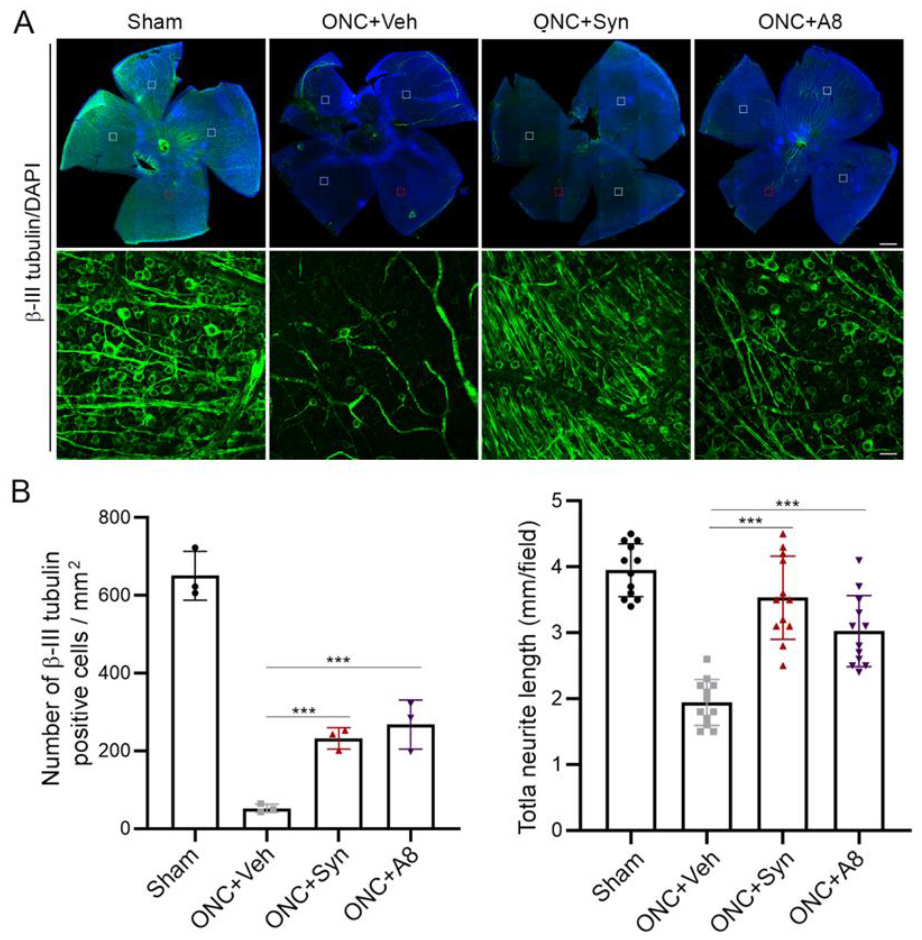Ijms 24 05340 g006 Ijms 24 05340 g006