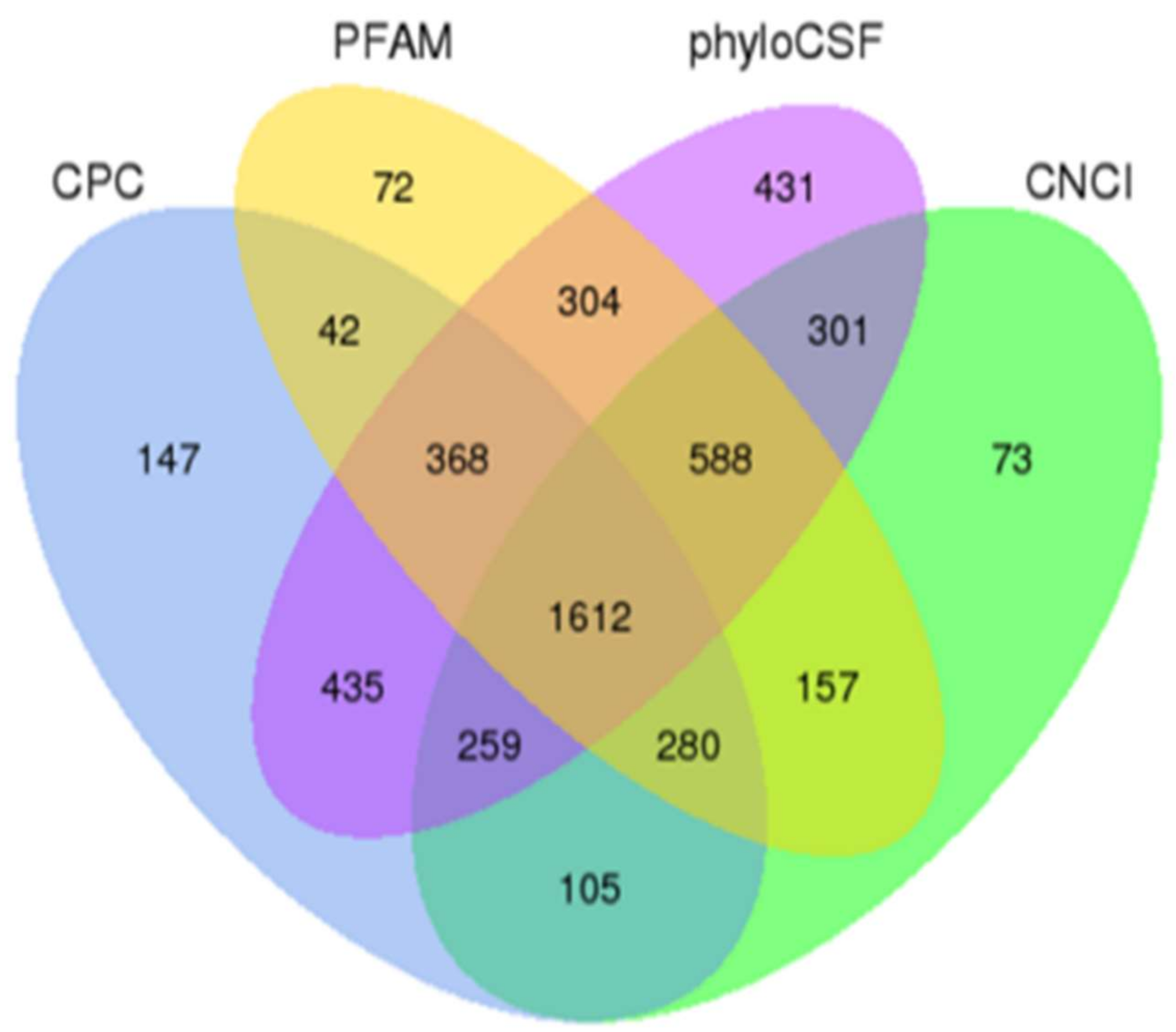 Ijms 24 05343 g001 Ijms 24 05343 g001