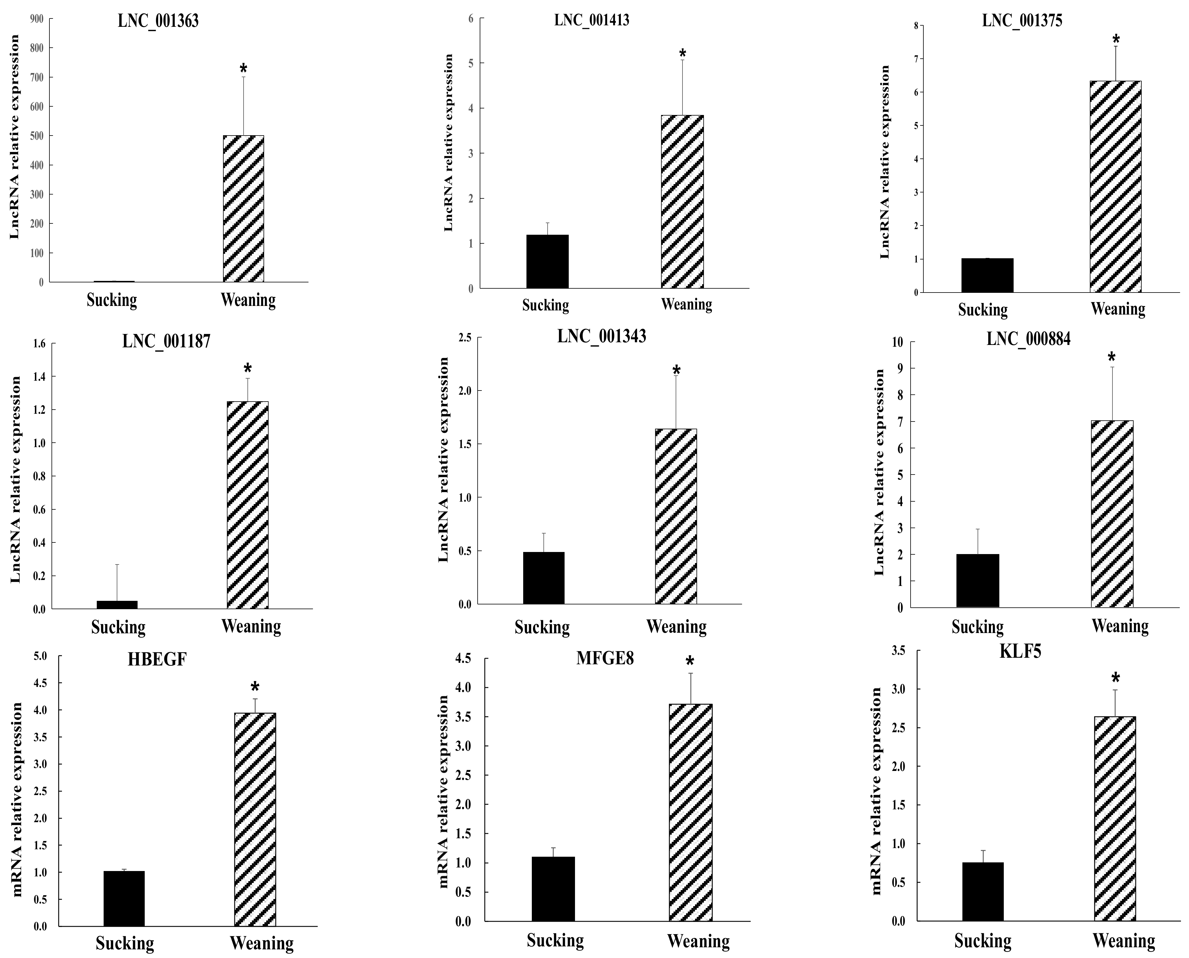 Ijms 24 05343 g005 Ijms 24 05343 g005