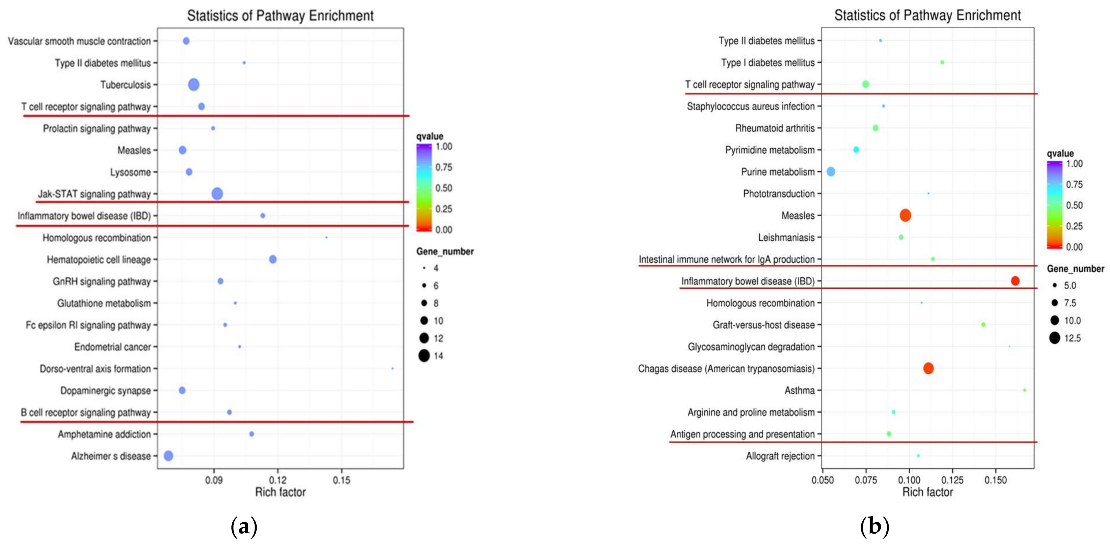 Ijms 24 05343 g006 Ijms 24 05343 g006