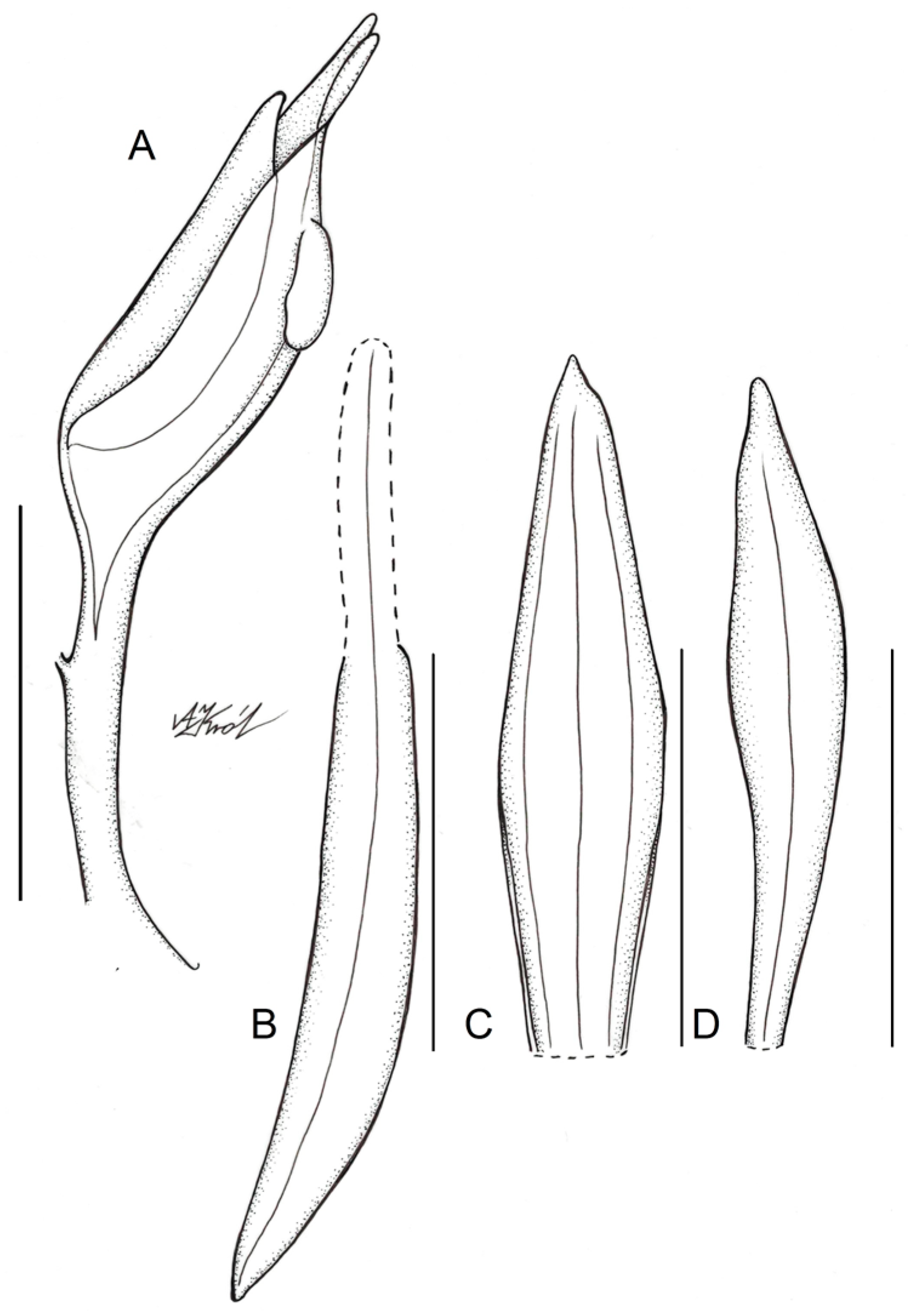 Ijms 24 05362 g005 Ijms 24 05362 g005