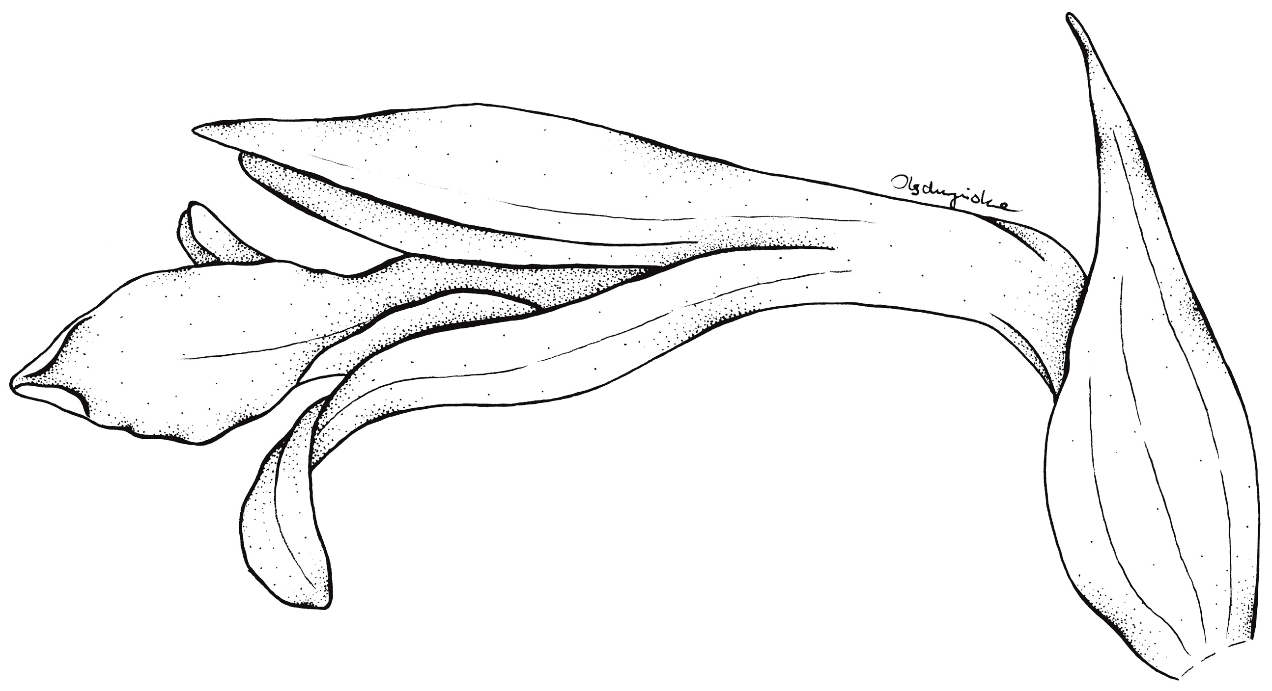 Ijms 24 05362 g006 Ijms 24 05362 g006