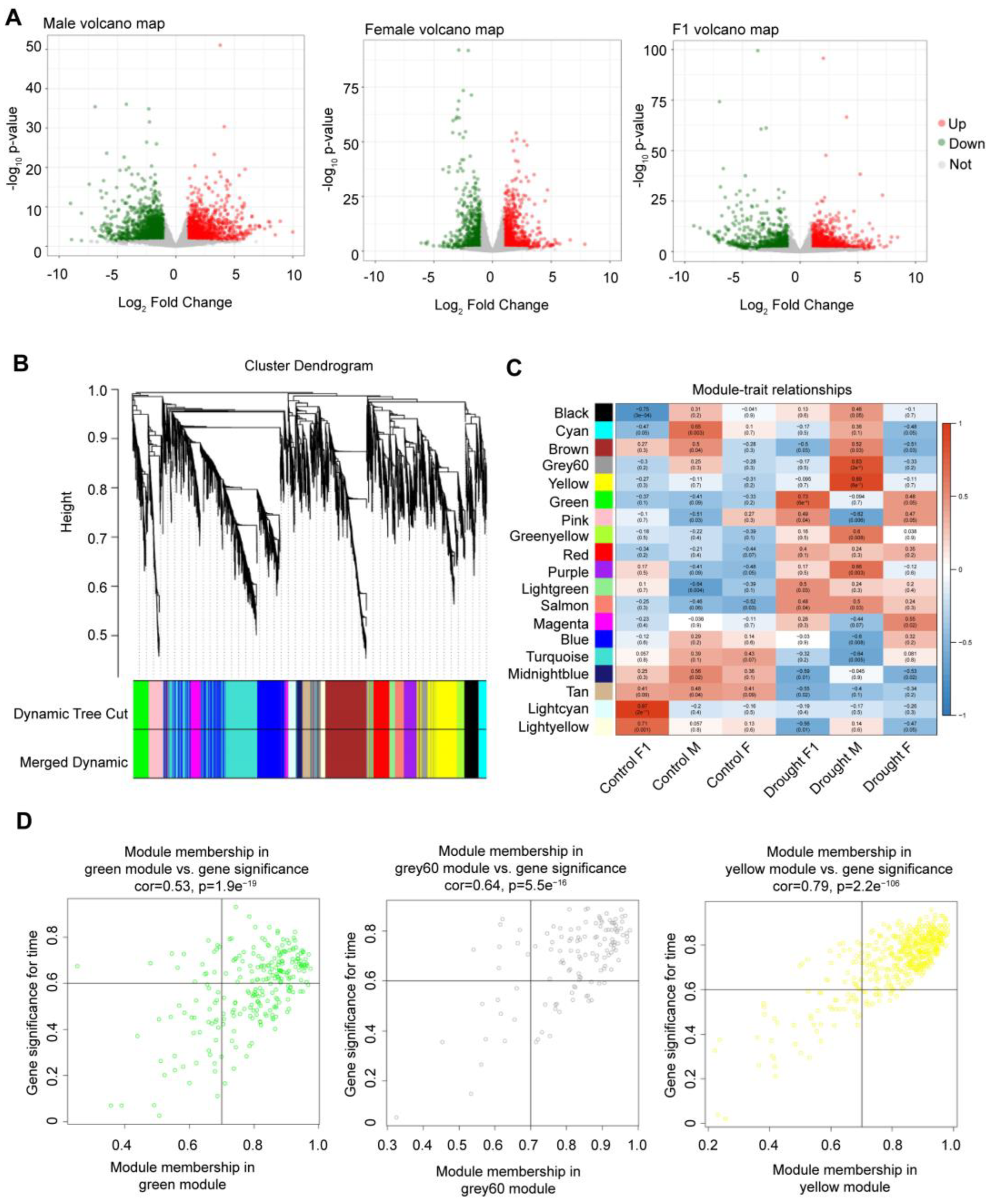 Ijms 24 05418 g001 Ijms 24 05418 g001