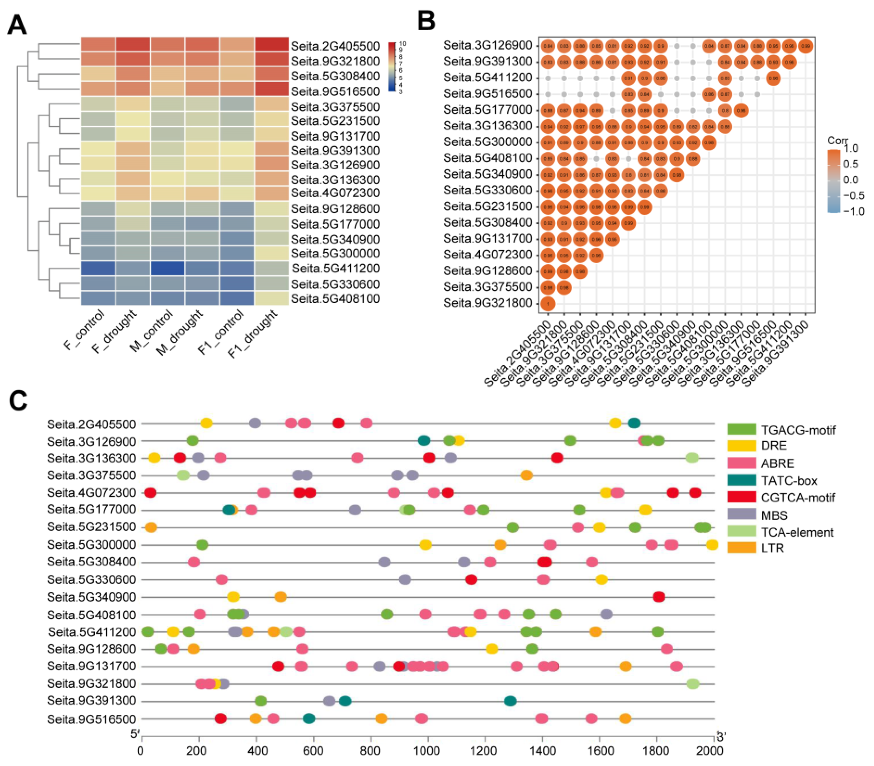 Ijms 24 05418 g003 Ijms 24 05418 g003