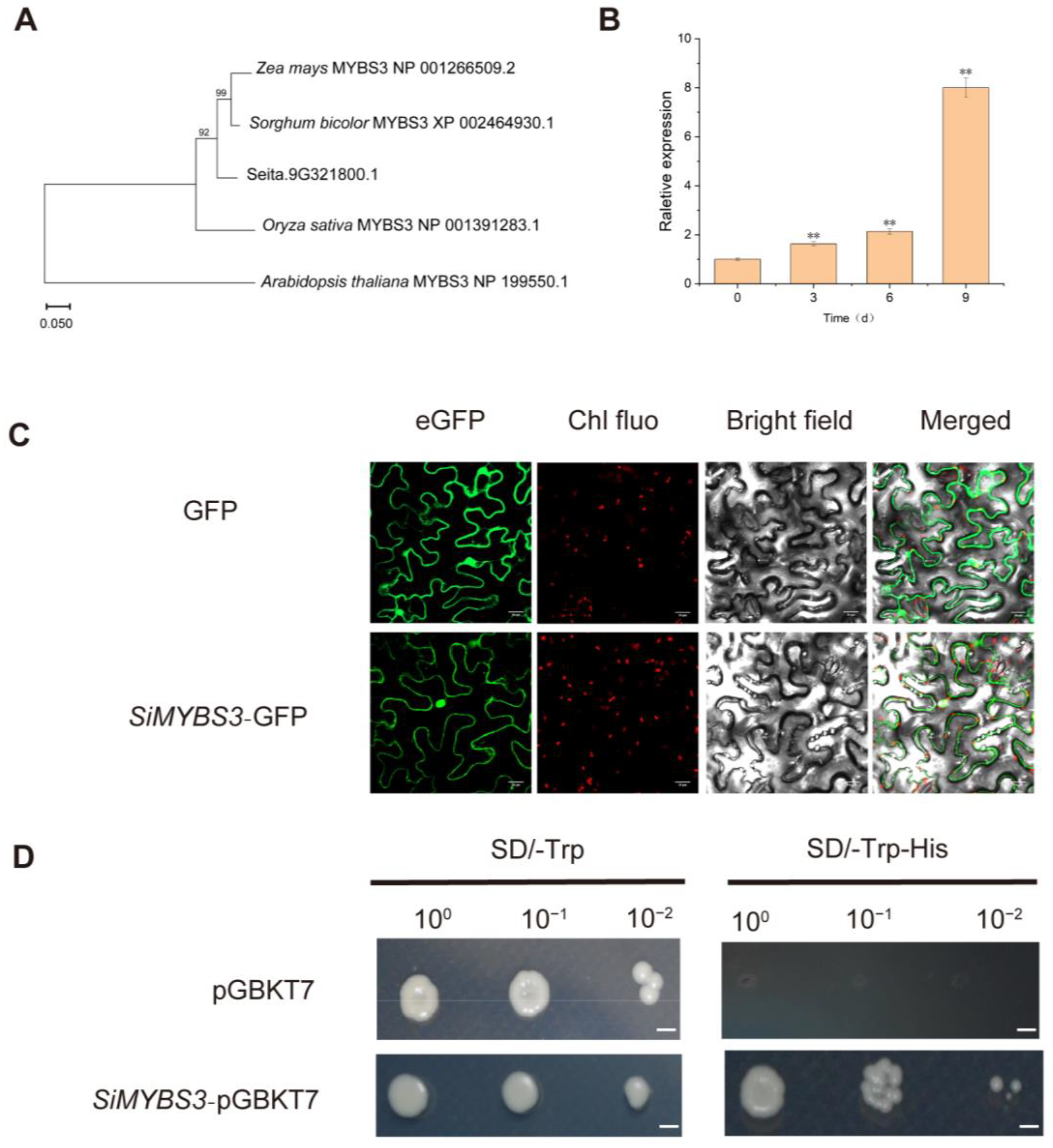 Ijms 24 05418 g004 Ijms 24 05418 g004