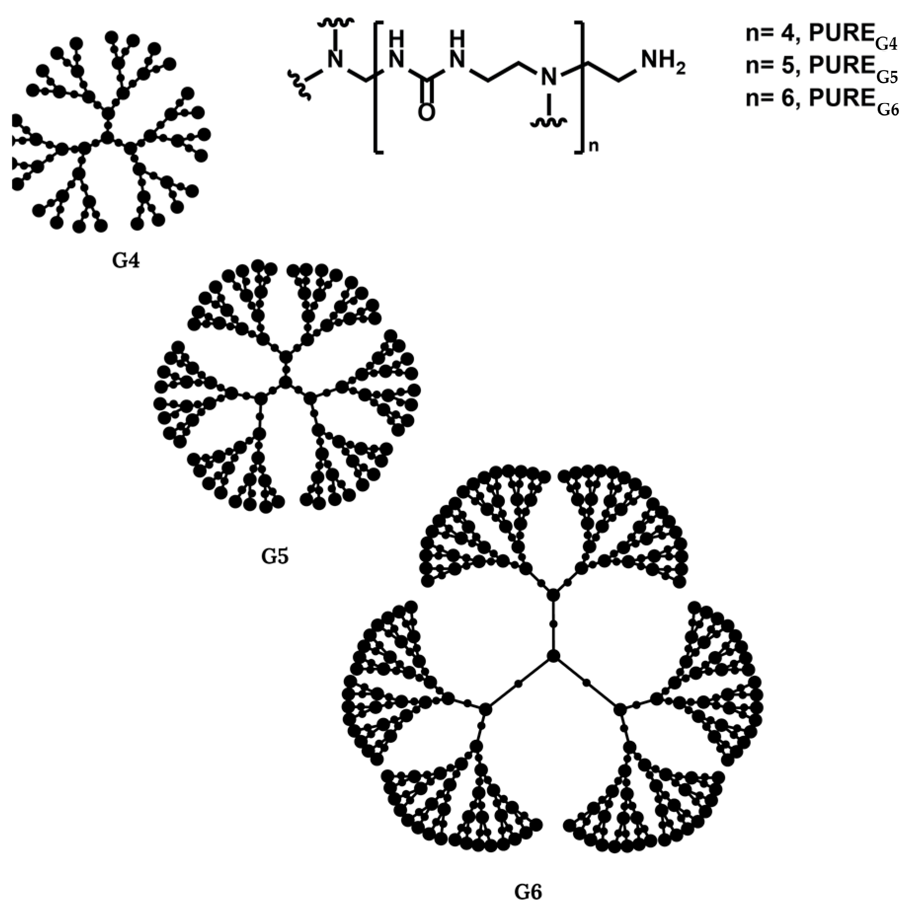 Ijms 24 05430 g002 Ijms 24 05430 g002