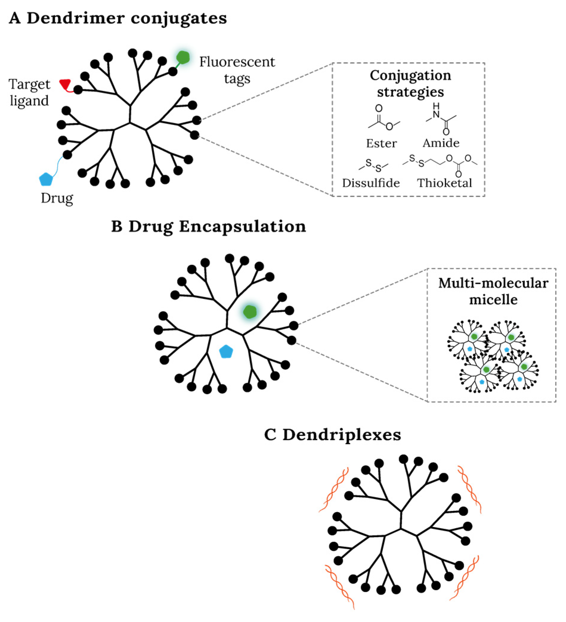Ijms 24 05430 g003 Ijms 24 05430 g003