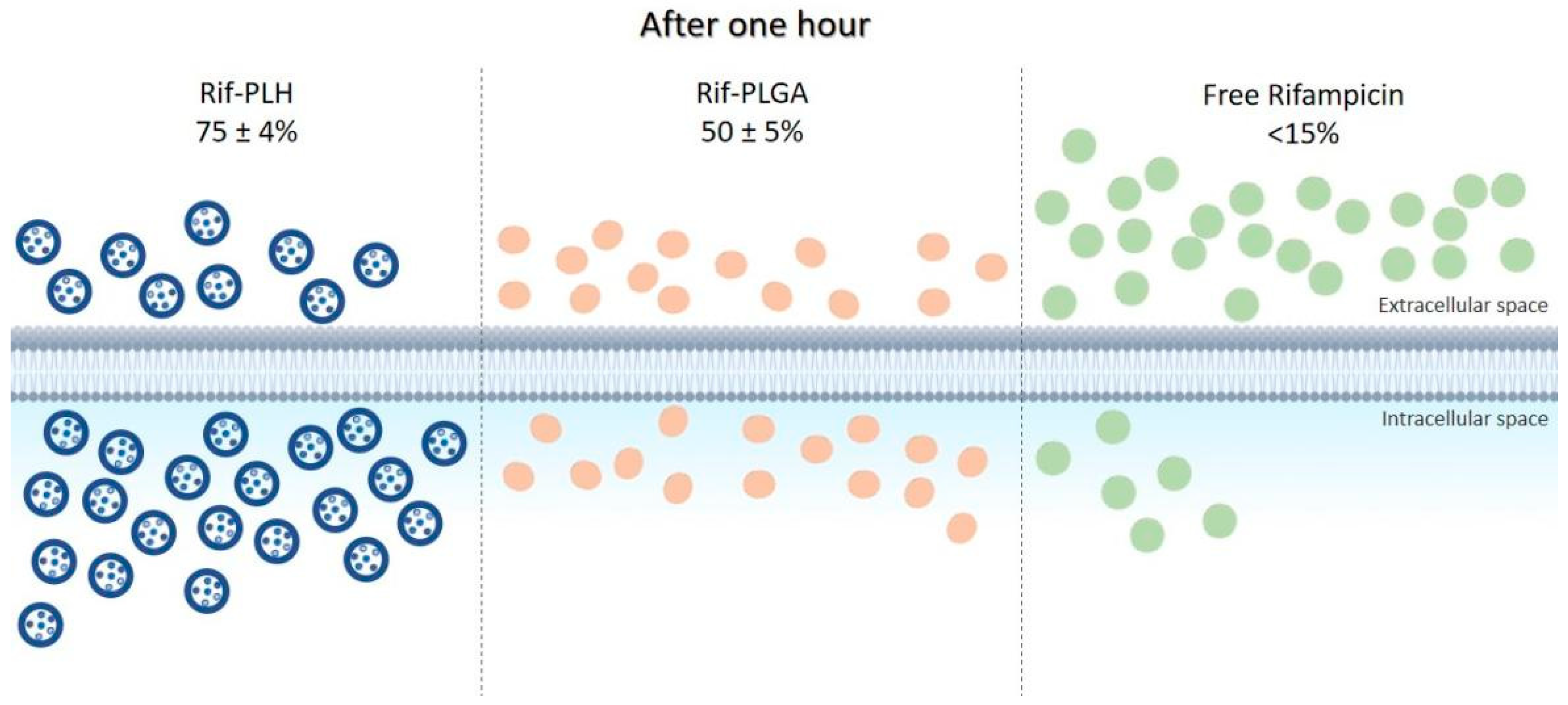 Ijms 24 05441 g003 Ijms 24 05441 g003
