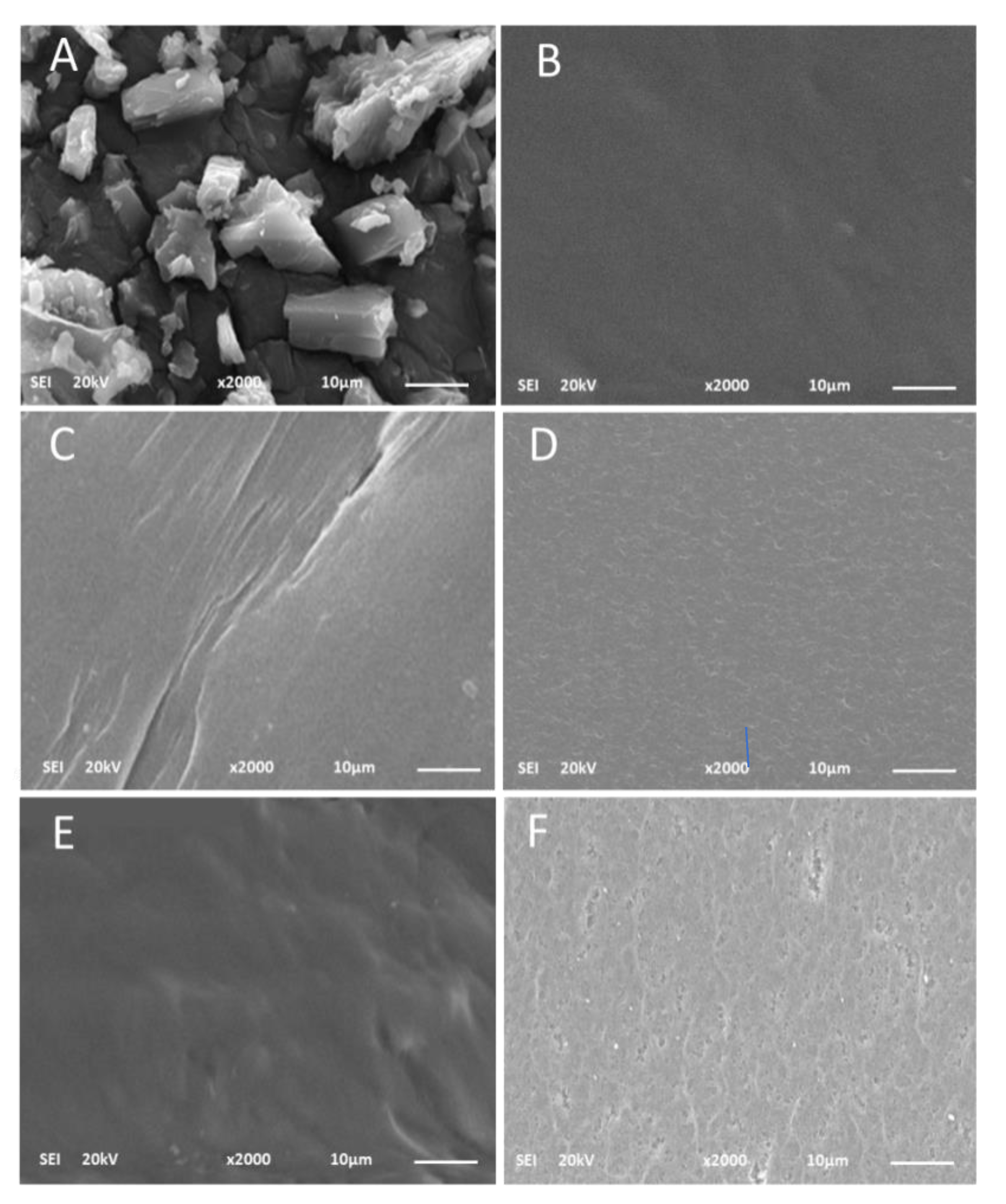 Ijms 24 05483 g012 Ijms 24 05483 g012