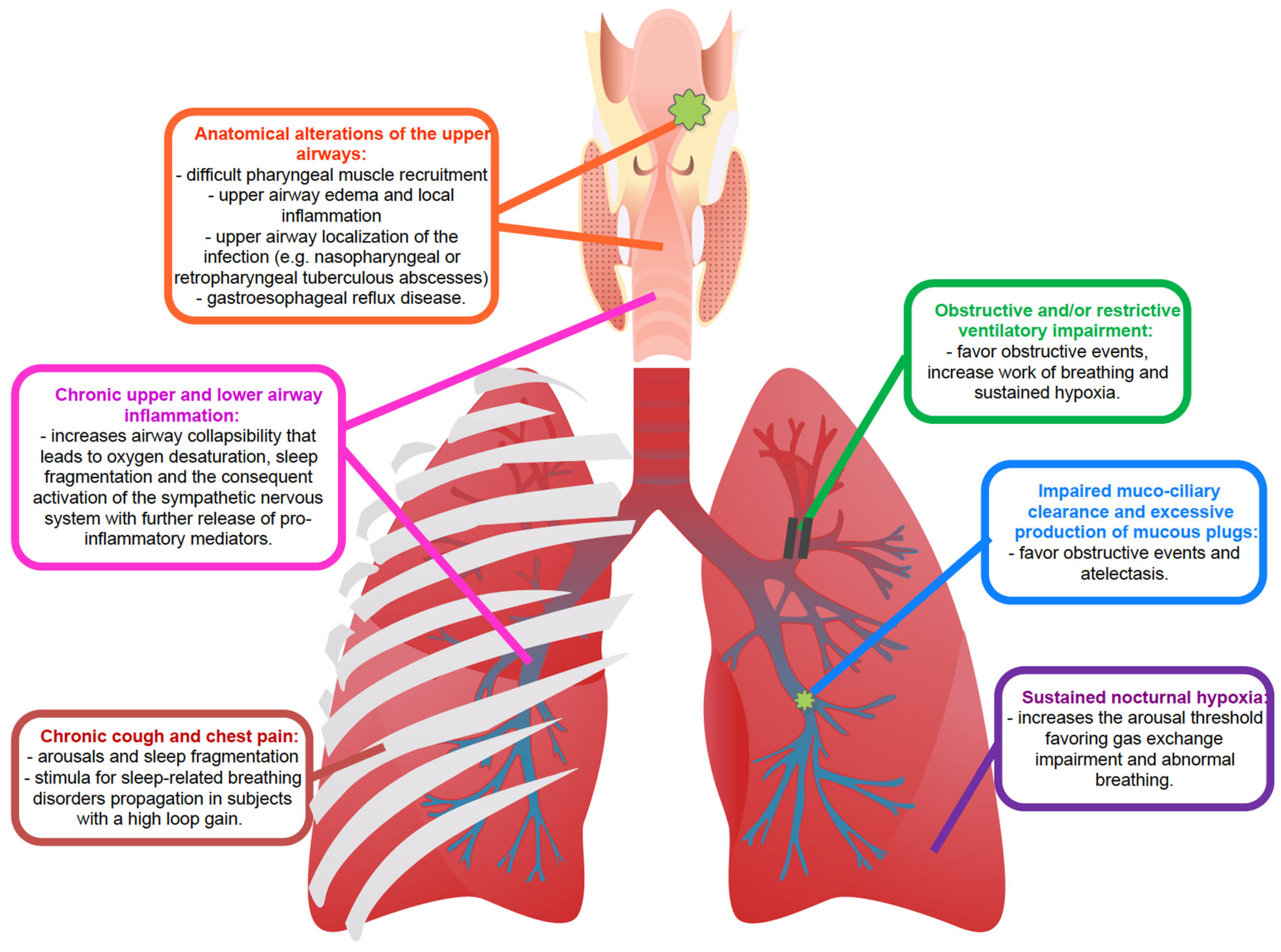 Ijms 24 05504 g002 Ijms 24 05504 g002