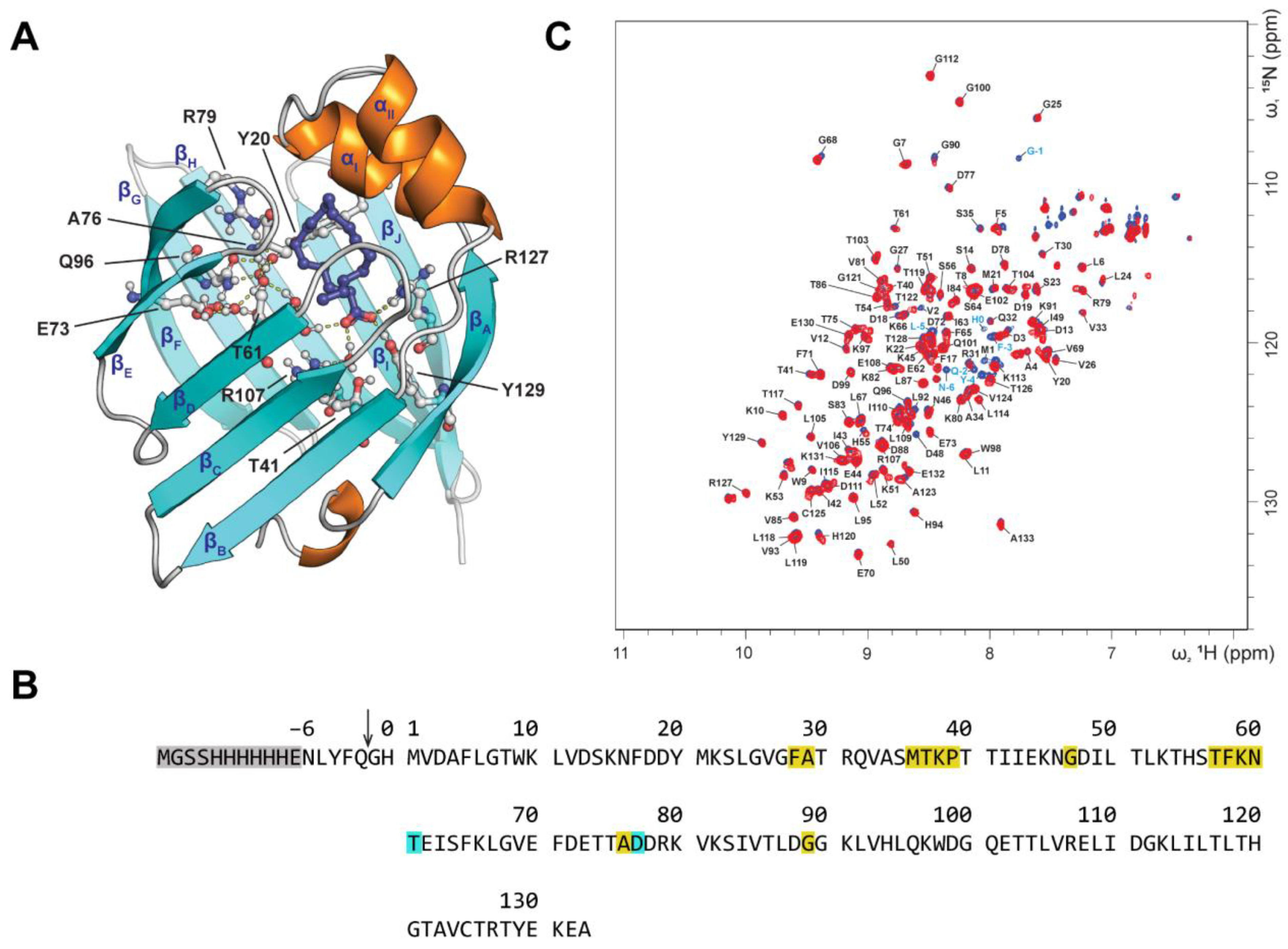 Ijms 24 05528 g001 Ijms 24 05528 g001