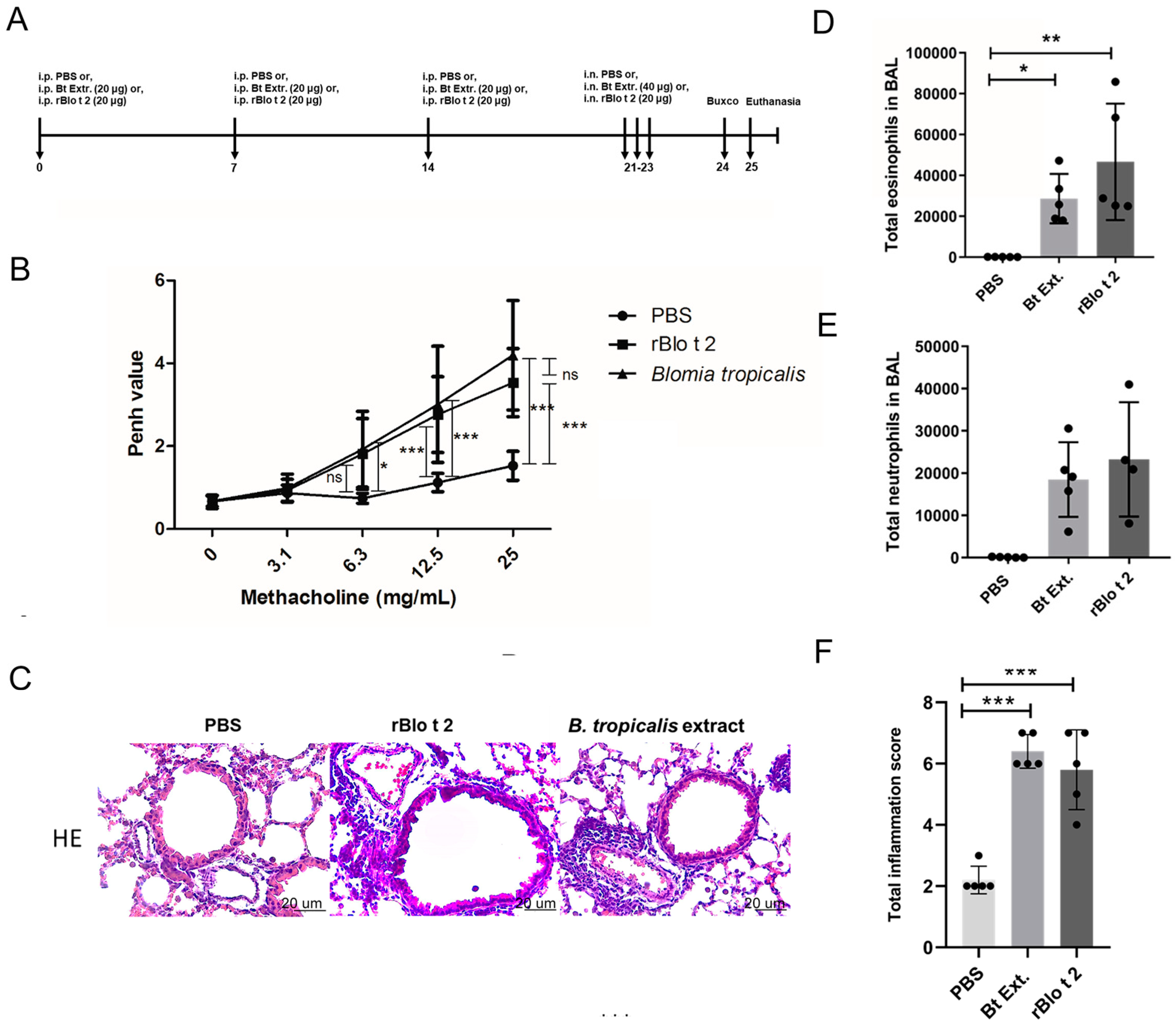 Ijms 24 05543 g003 Ijms 24 05543 g003
