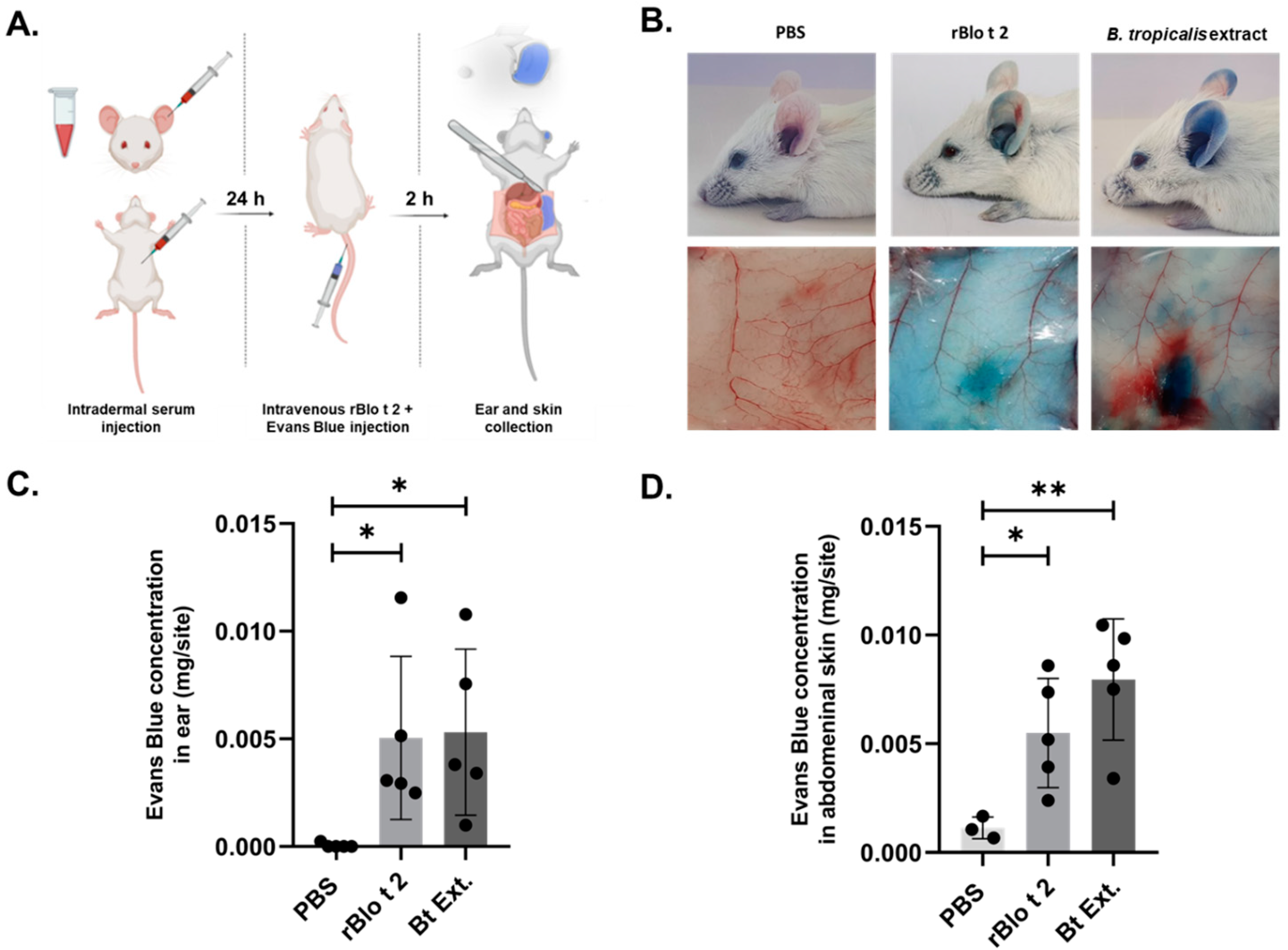 Ijms 24 05543 g006 Ijms 24 05543 g006