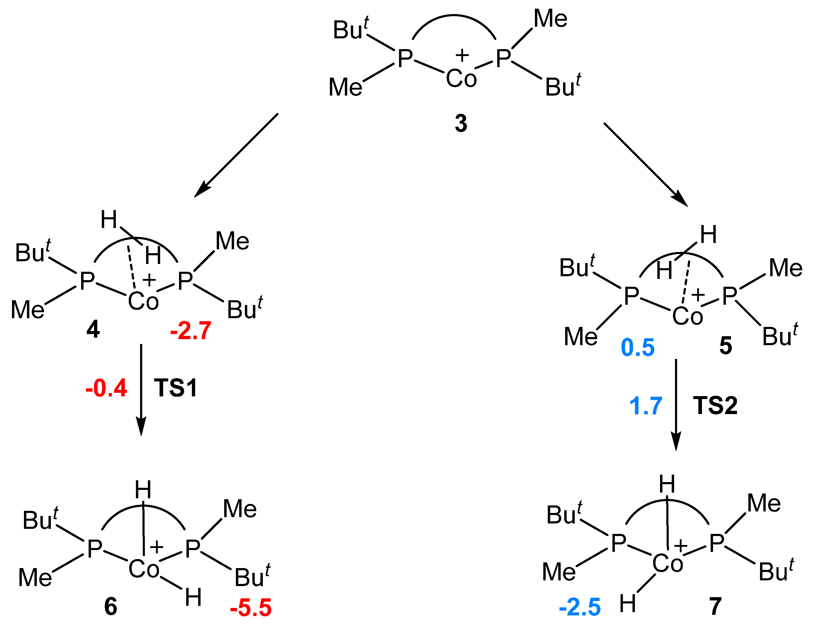 Ijms 24 05568 sch002