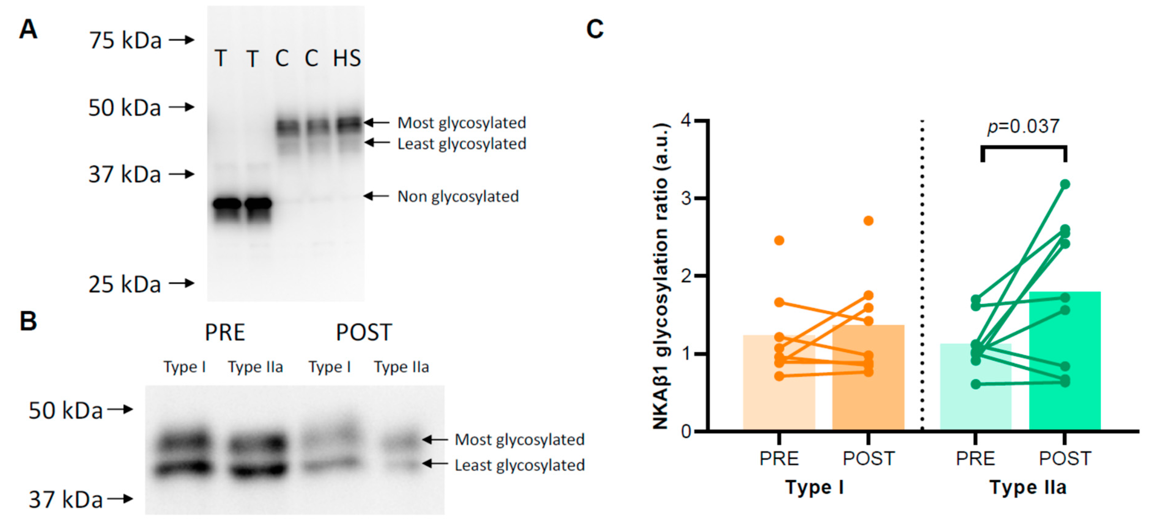 Ijms 24 05587 g003 Ijms 24 05587 g003