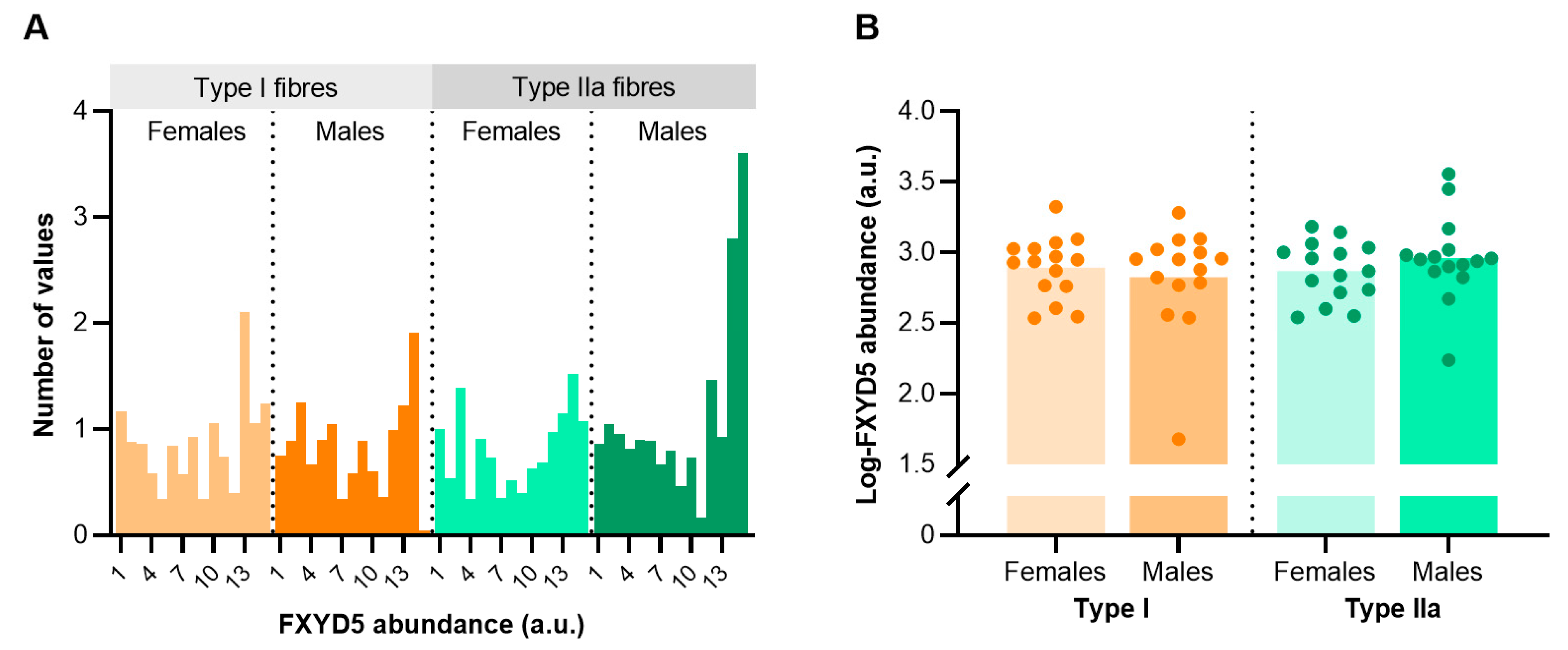 Ijms 24 05587 g004 Ijms 24 05587 g004