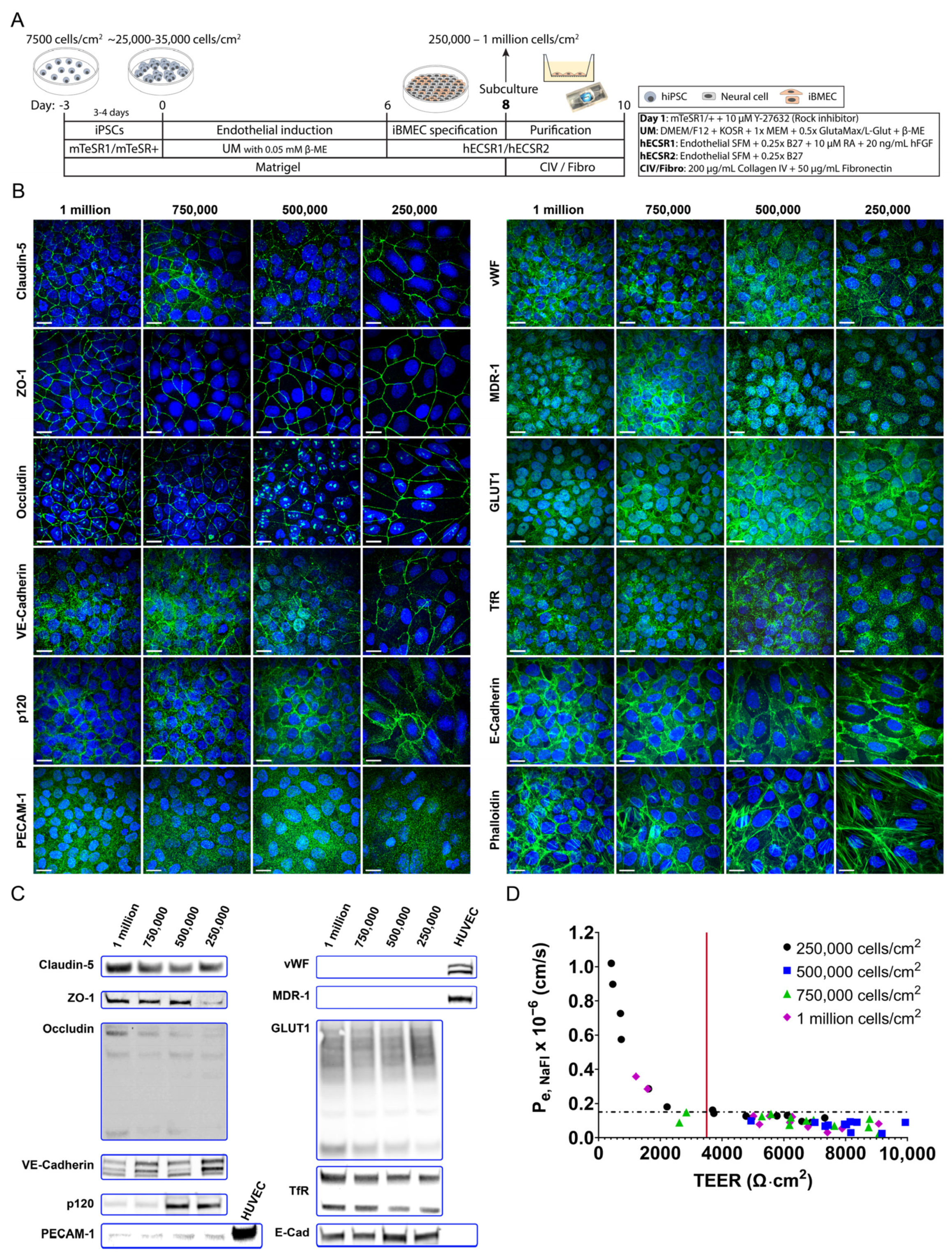 Ijms 24 05624 g001 Ijms 24 05624 g001
