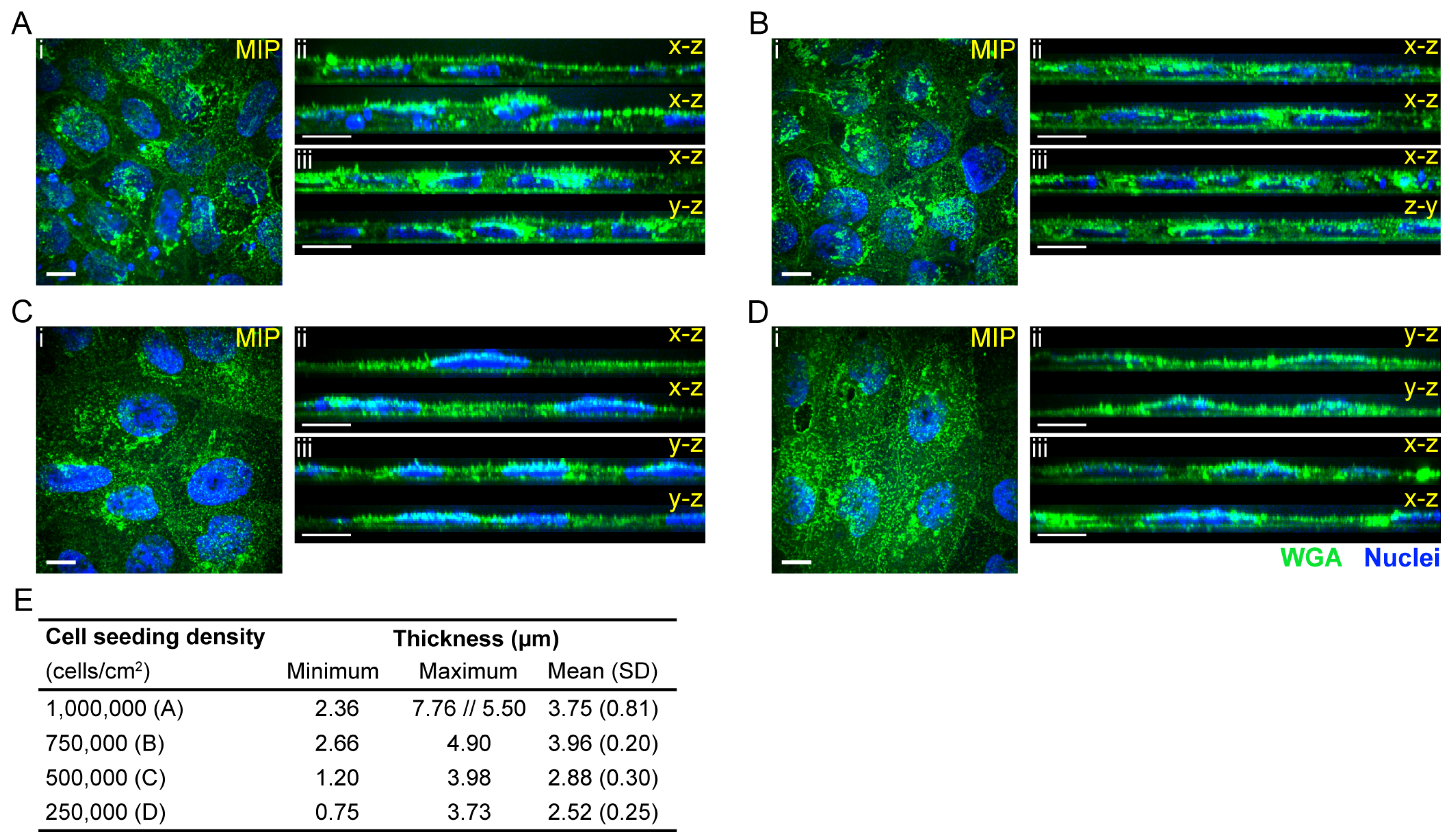 Ijms 24 05624 g002 Ijms 24 05624 g002