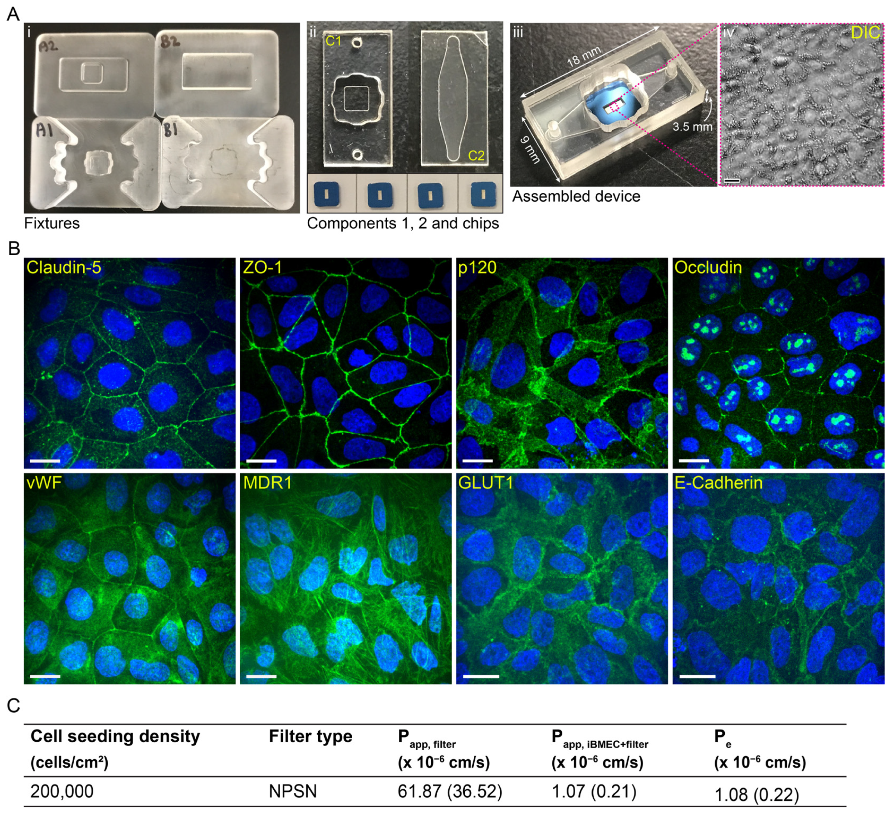 Ijms 24 05624 g003 Ijms 24 05624 g003