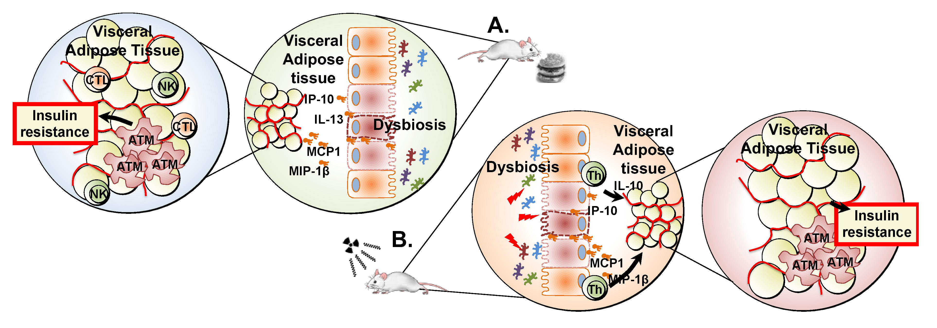 Ijms 24 05631 g006 Ijms 24 05631 g006