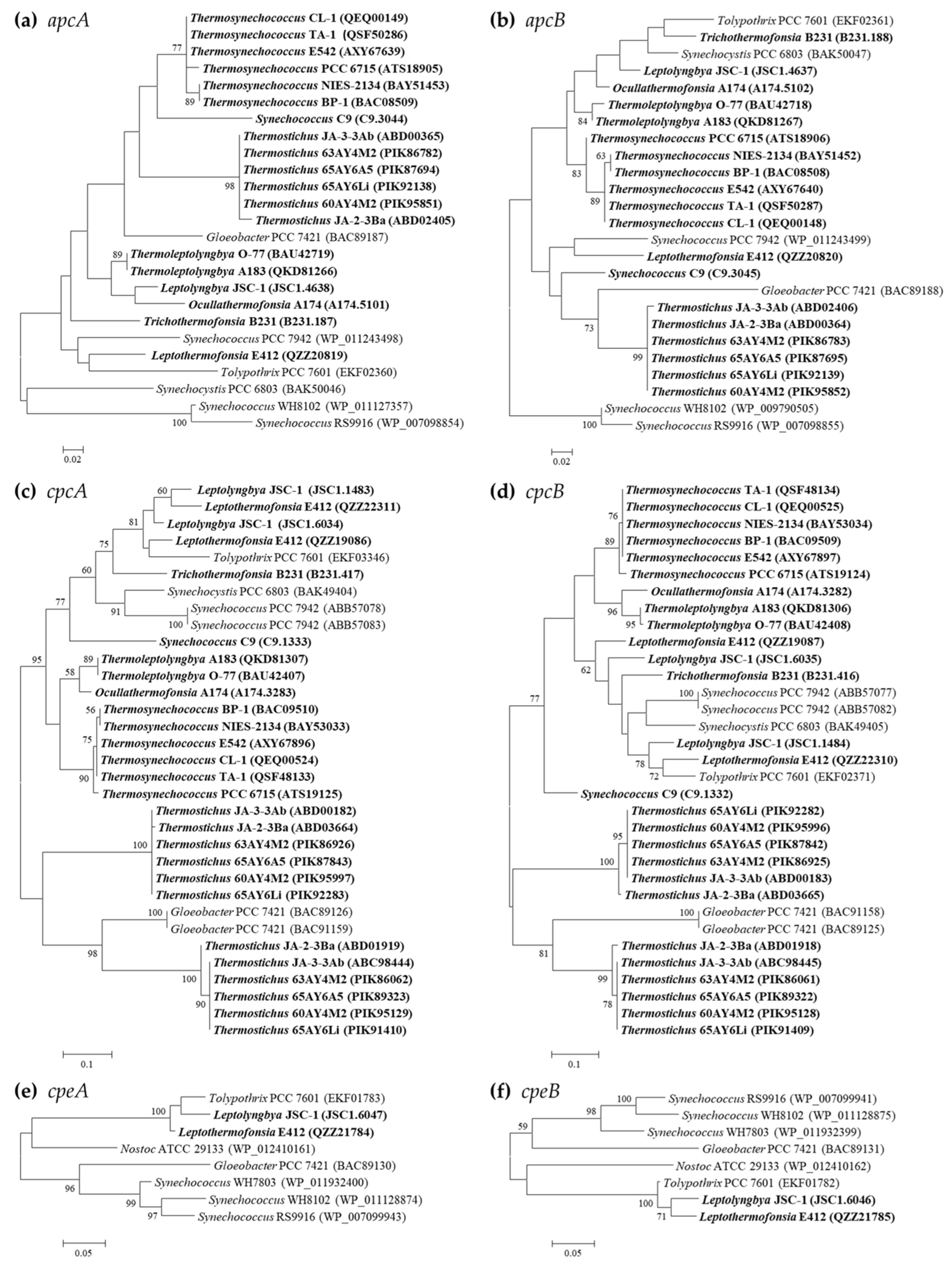 Ijms 24 05632 g001 Ijms 24 05632 g001