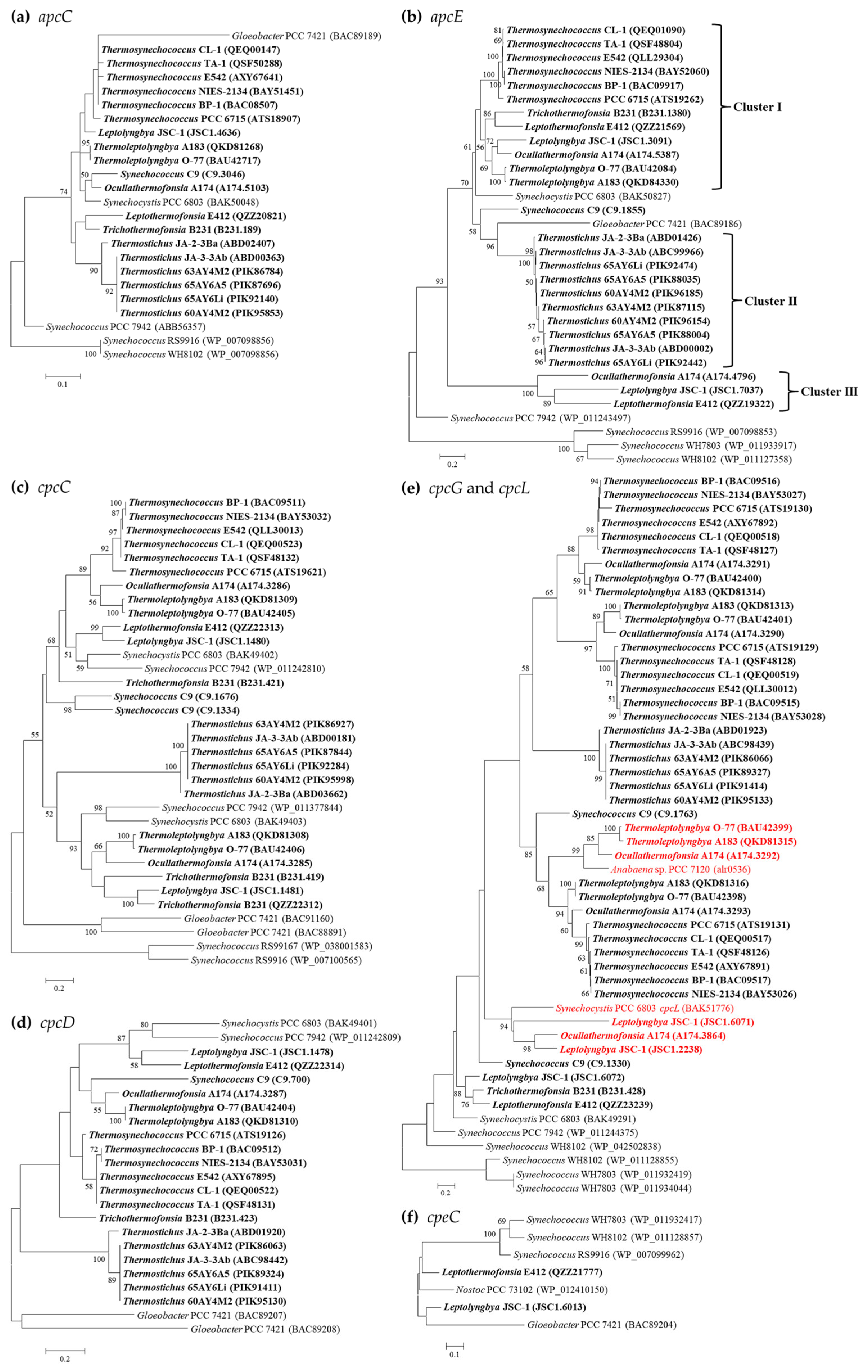 Ijms 24 05632 g002 Ijms 24 05632 g002
