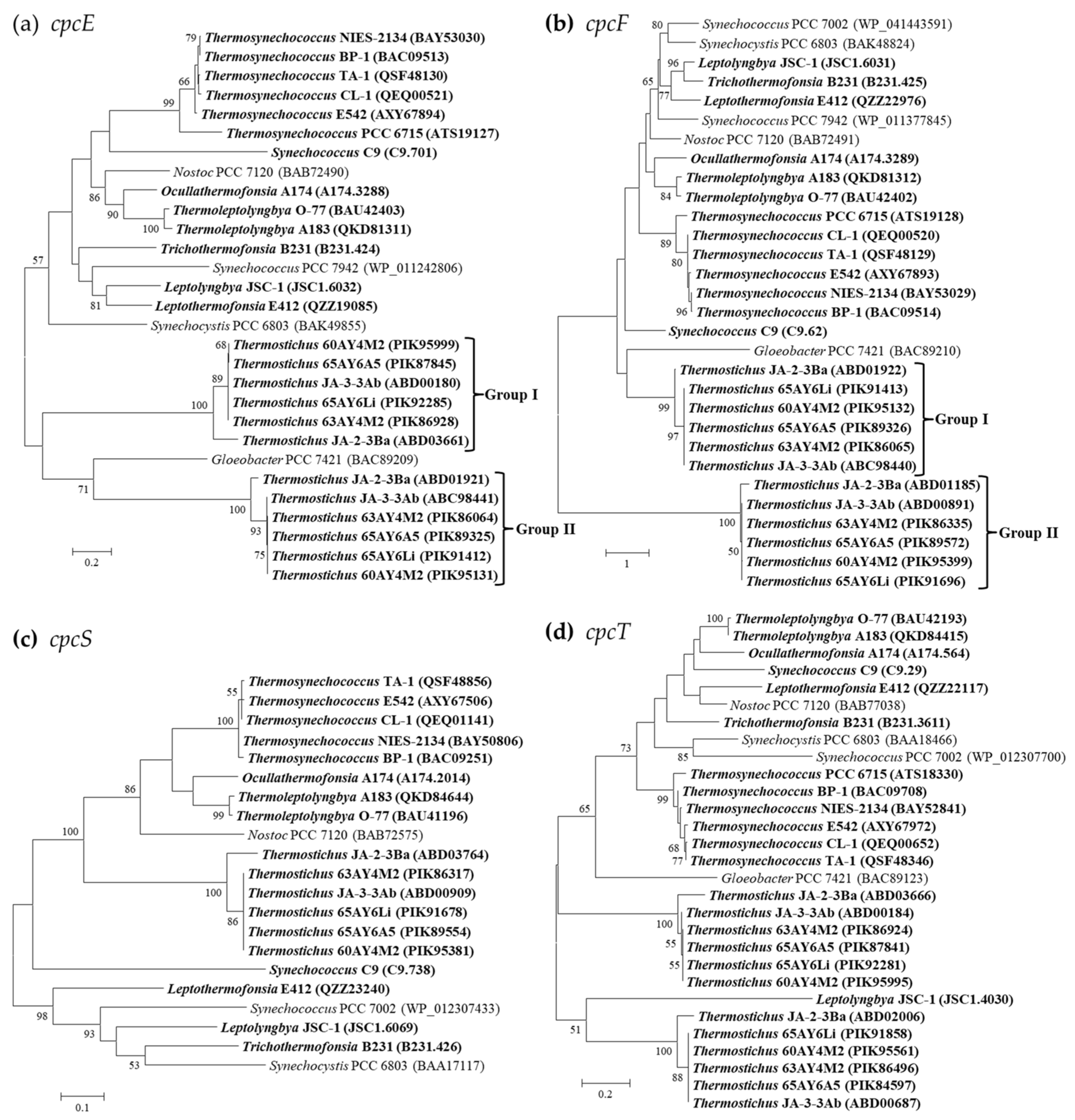 Ijms 24 05632 g004 Ijms 24 05632 g004
