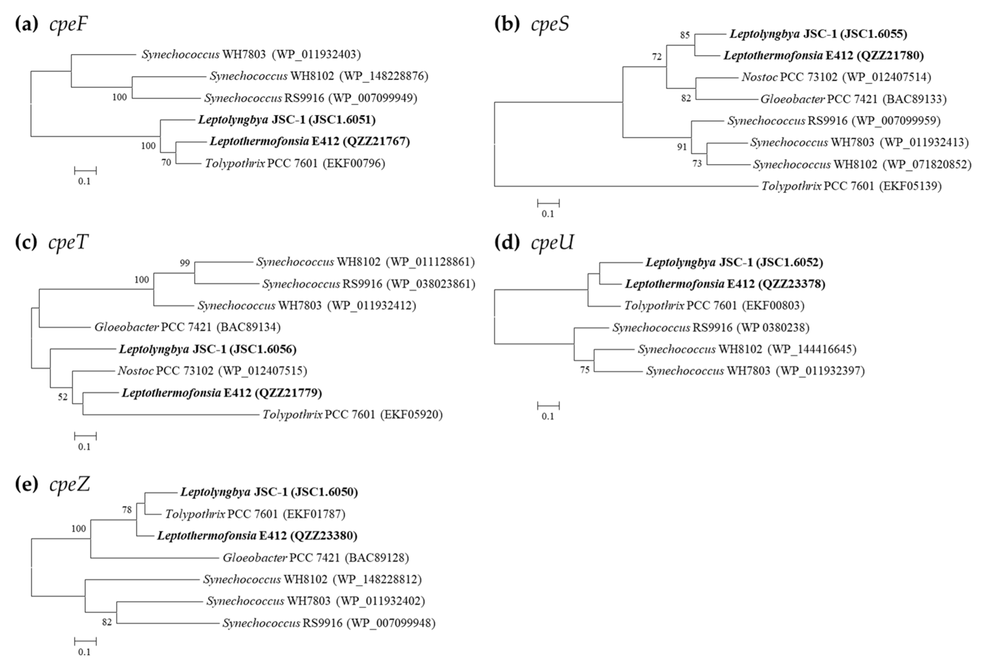 Ijms 24 05632 g005 Ijms 24 05632 g005