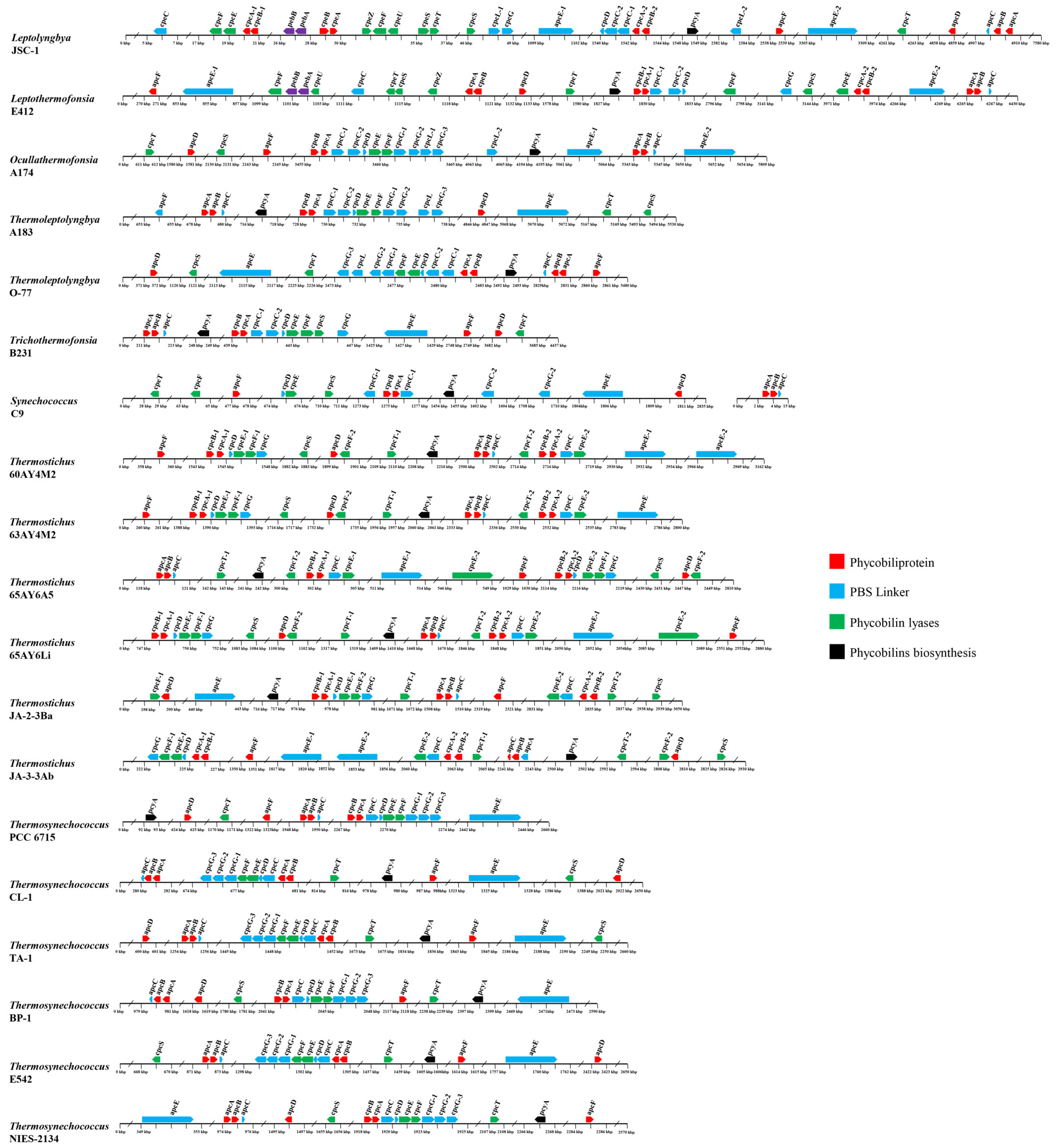 Ijms 24 05632 g006 Ijms 24 05632 g006