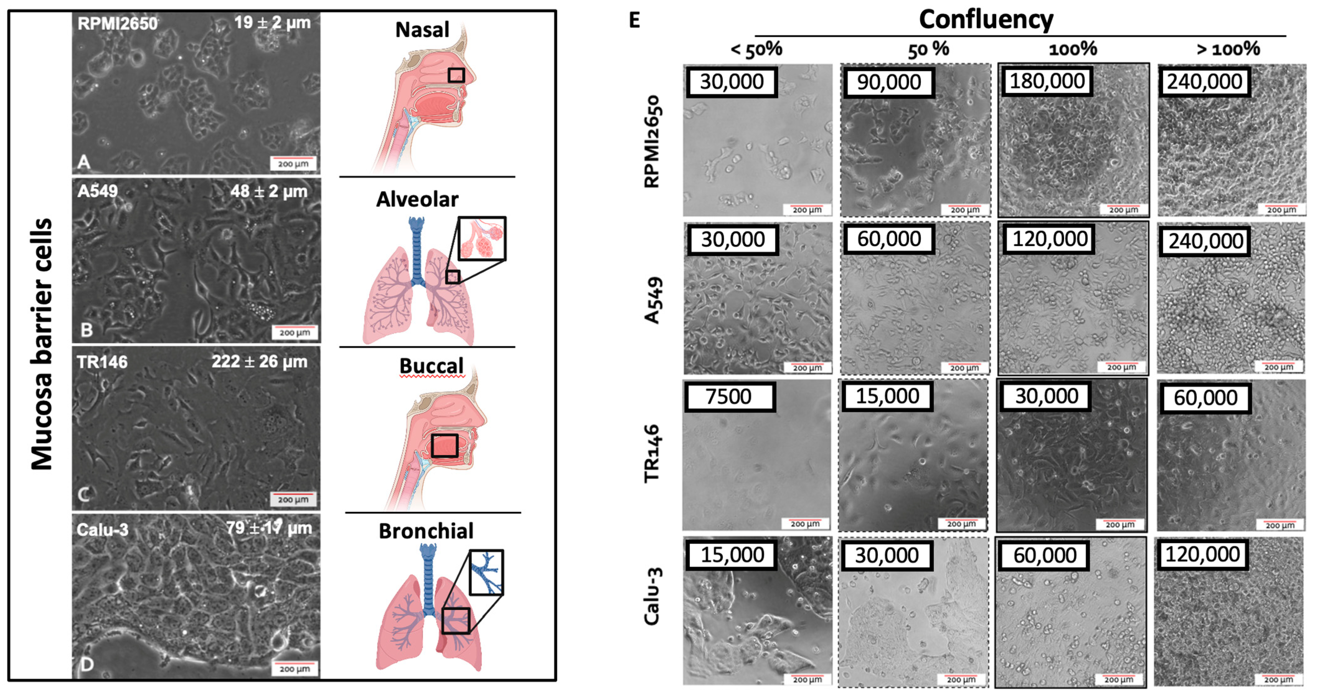 Ijms 24 05634 g001 Ijms 24 05634 g001