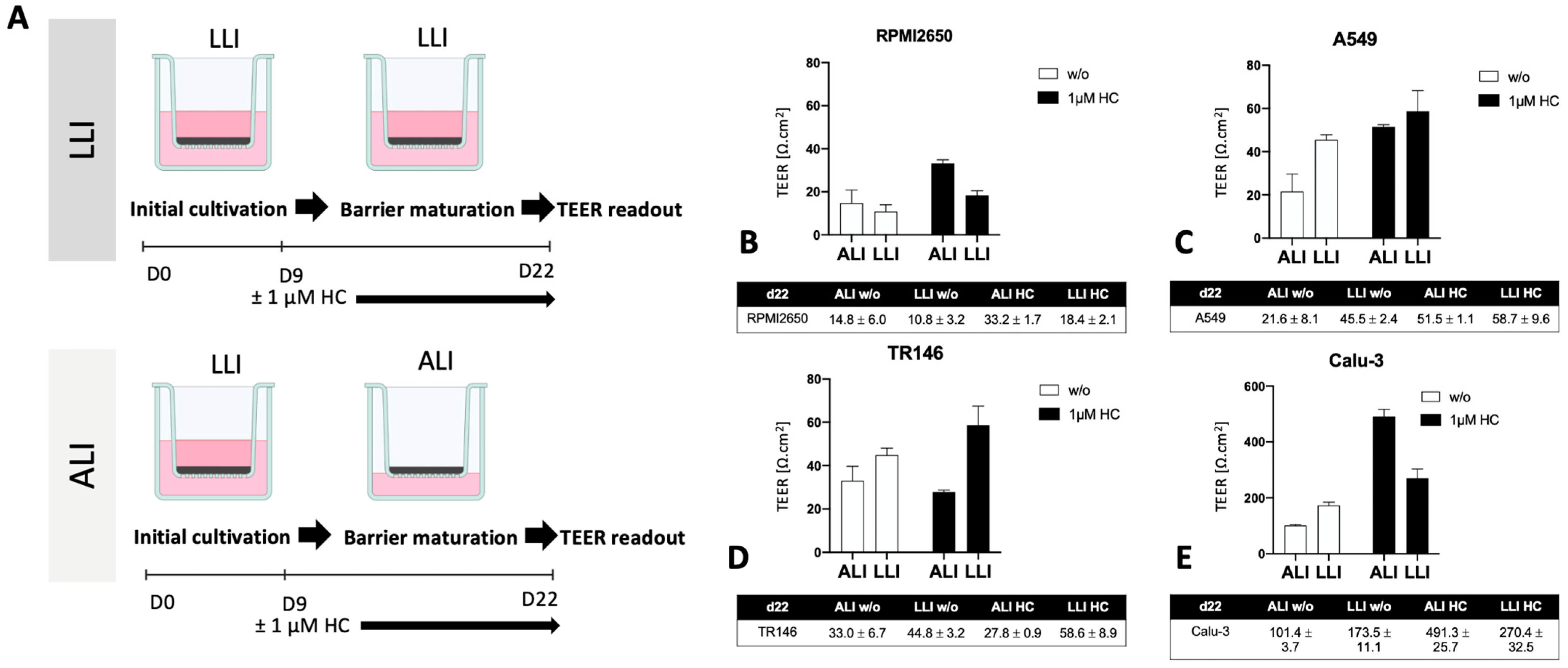 Ijms 24 05634 g003 Ijms 24 05634 g003