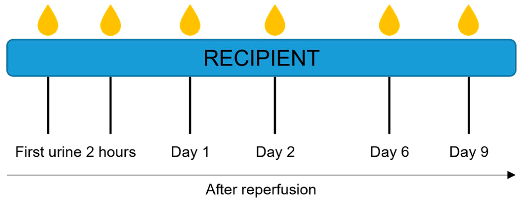 Ijms 24 05649 g002 Ijms 24 05649 g002