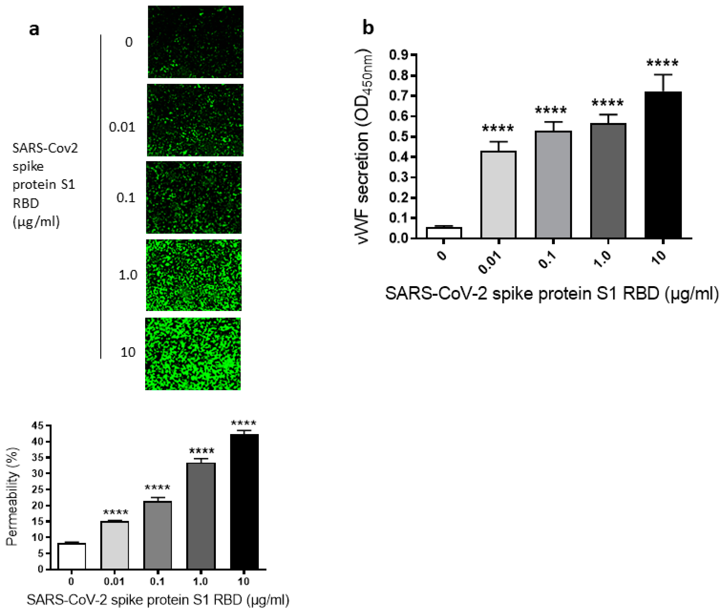 Ijms 24 05664 g002 Ijms 24 05664 g002