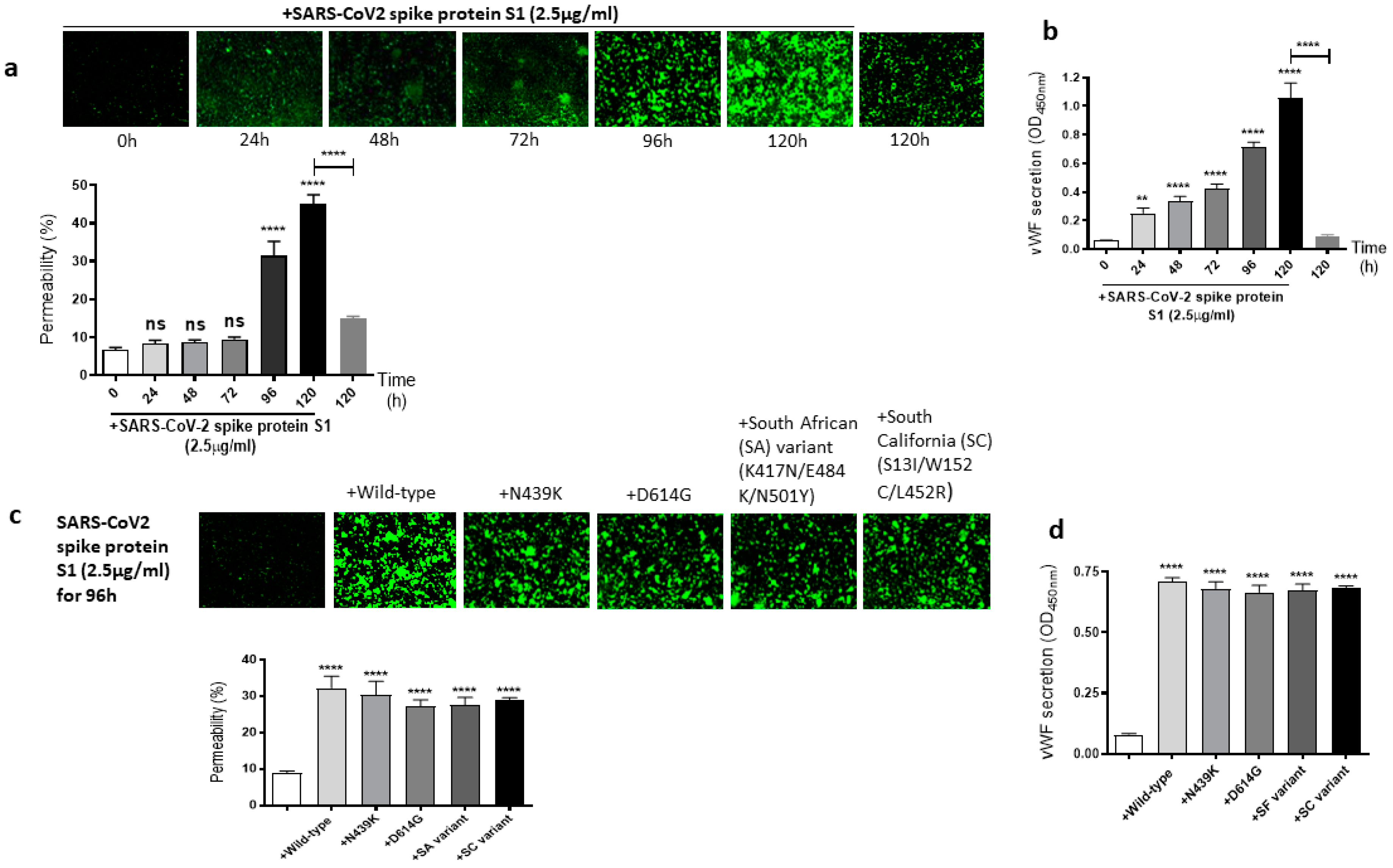 Ijms 24 05664 g003 Ijms 24 05664 g003