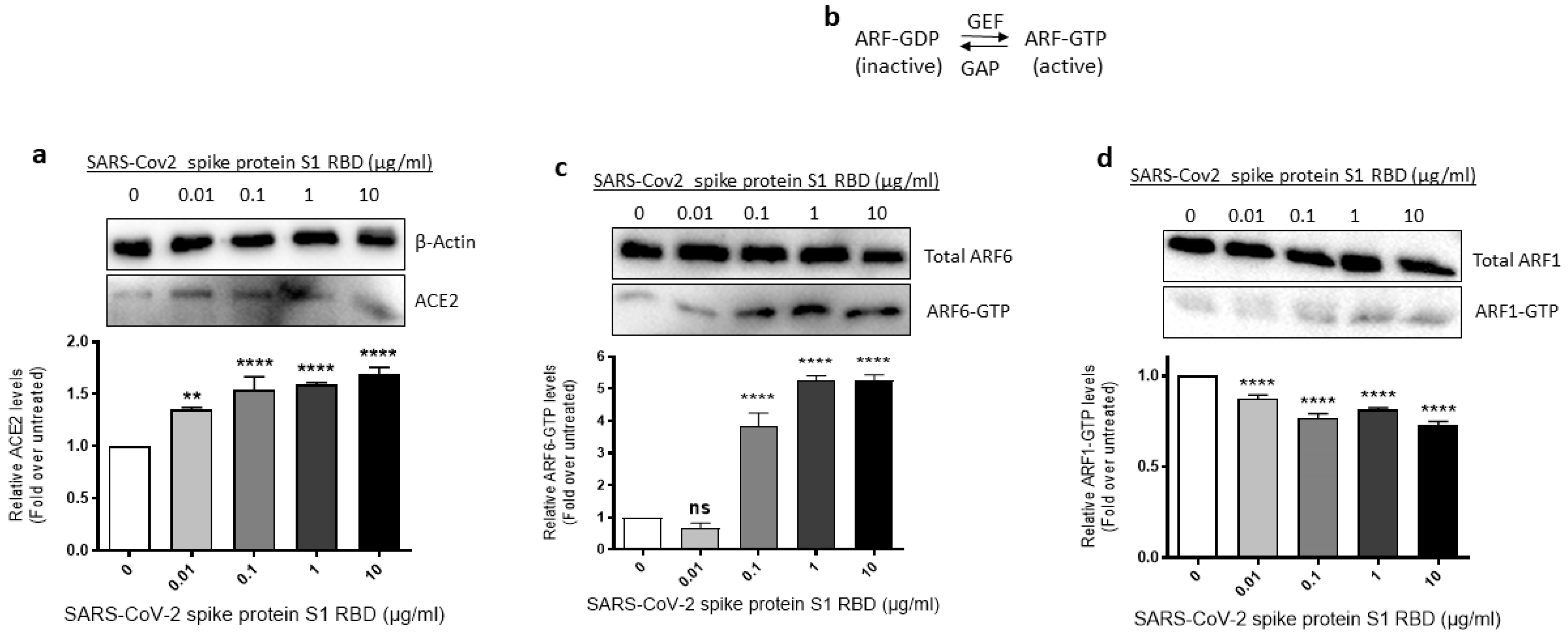 Ijms 24 05664 g004 Ijms 24 05664 g004