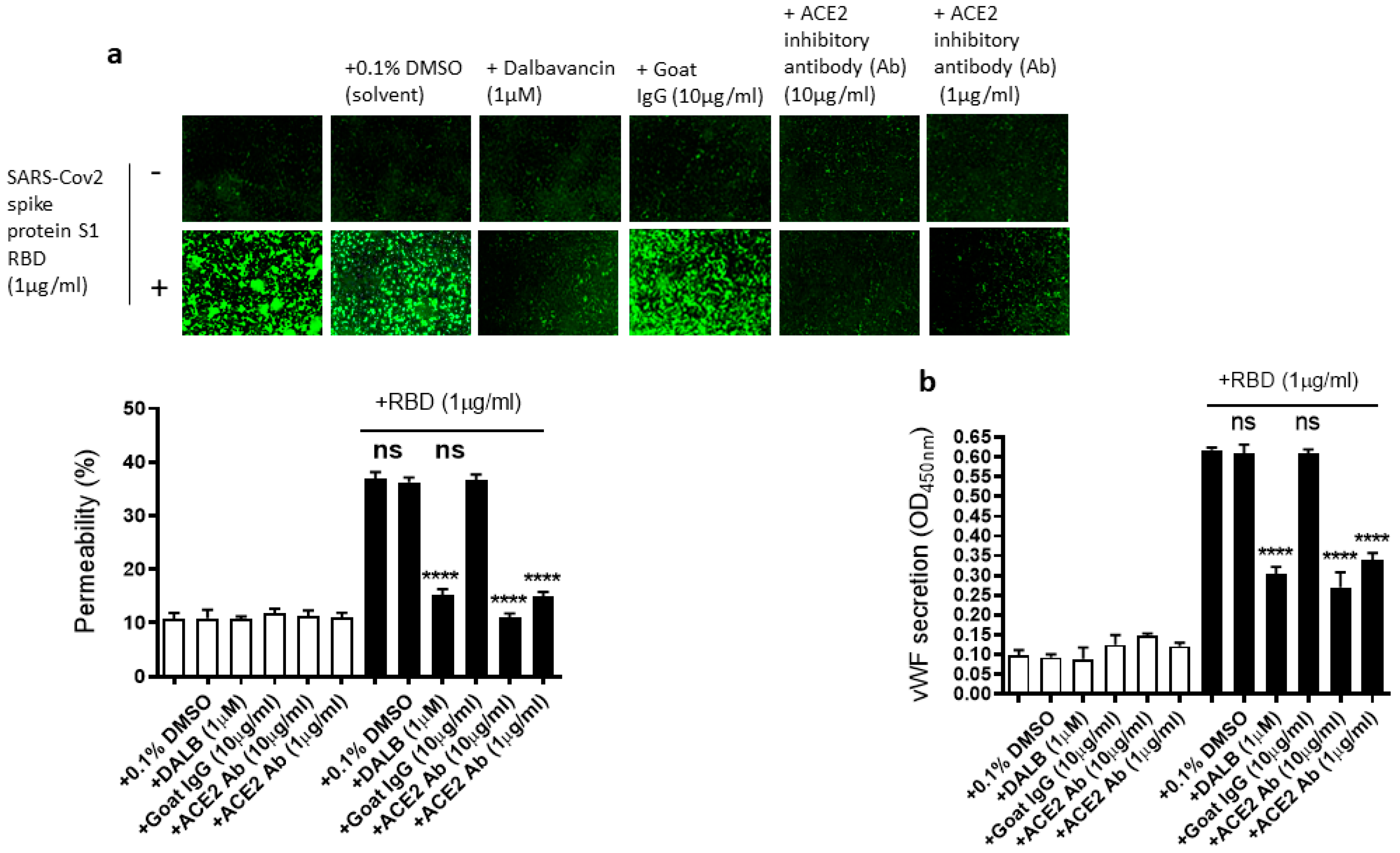 Ijms 24 05664 g005 Ijms 24 05664 g005