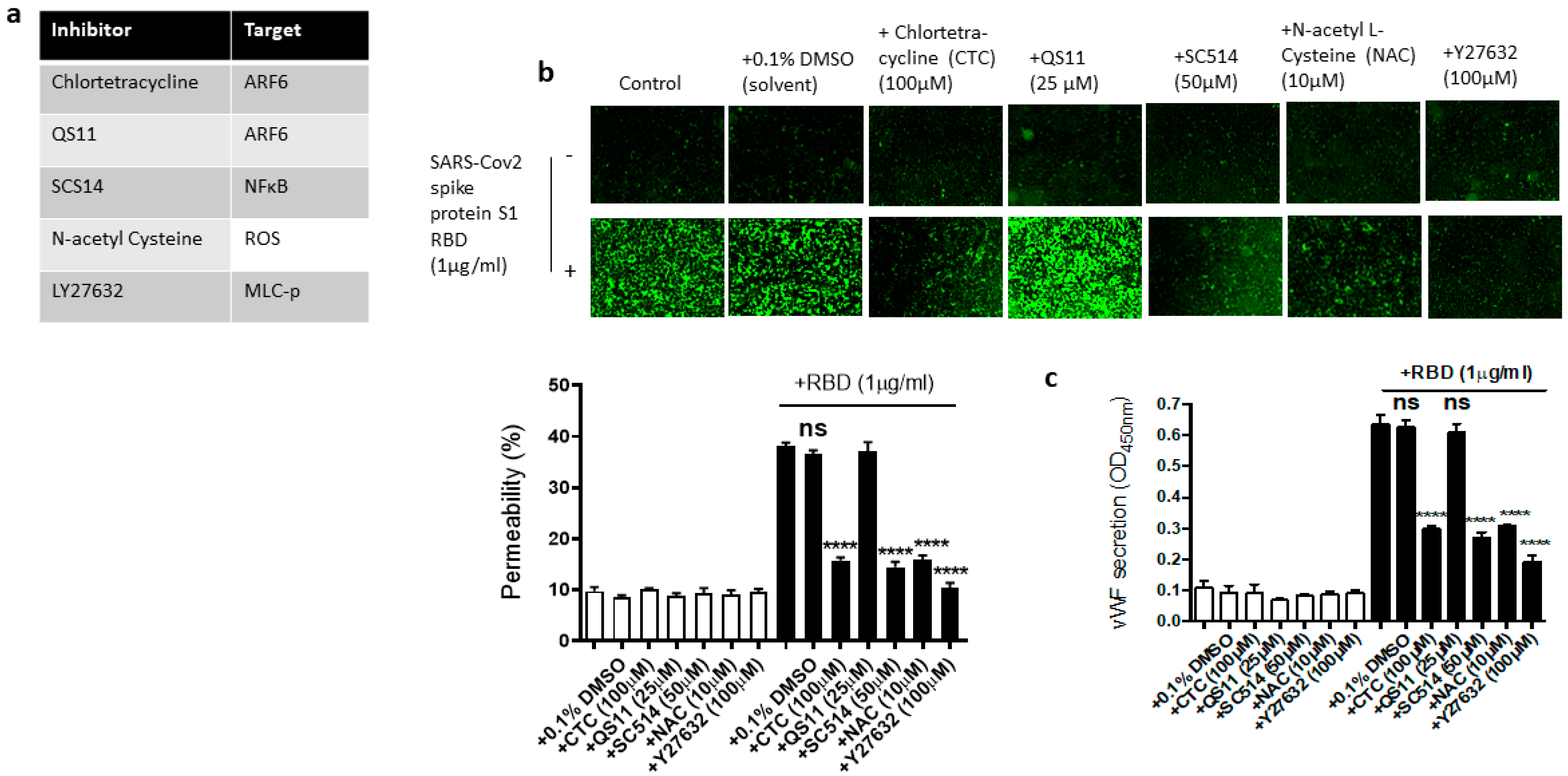 Ijms 24 05664 g006 Ijms 24 05664 g006