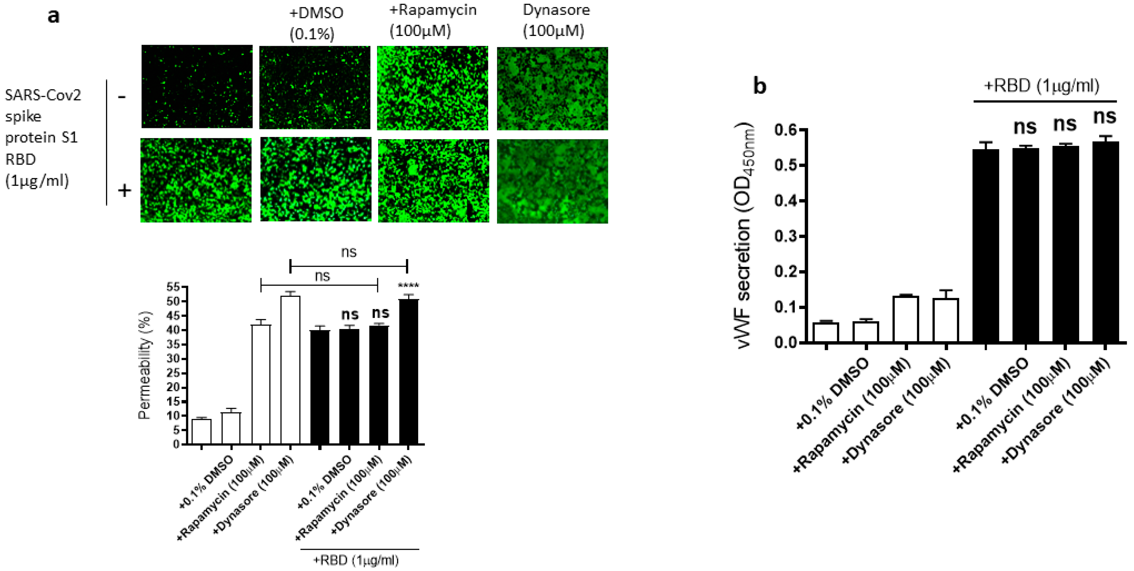 Ijms 24 05664 g007 Ijms 24 05664 g007