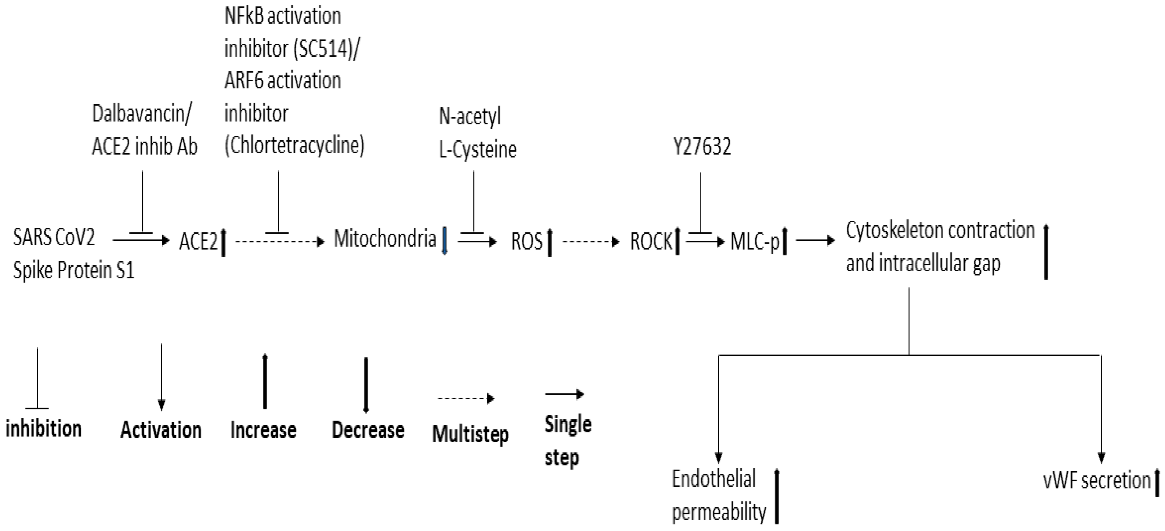 Ijms 24 05664 g008 Ijms 24 05664 g008