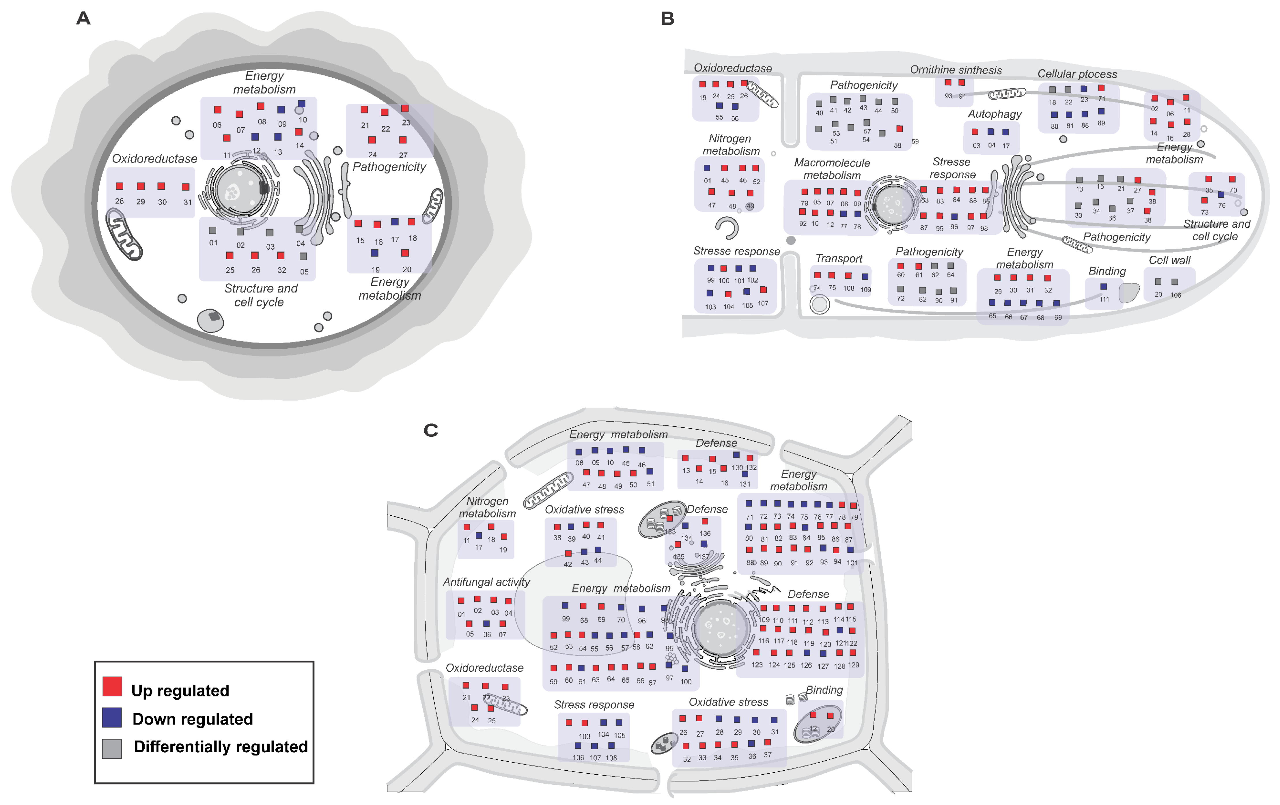 Ijms 24 05684 g006 Ijms 24 05684 g006