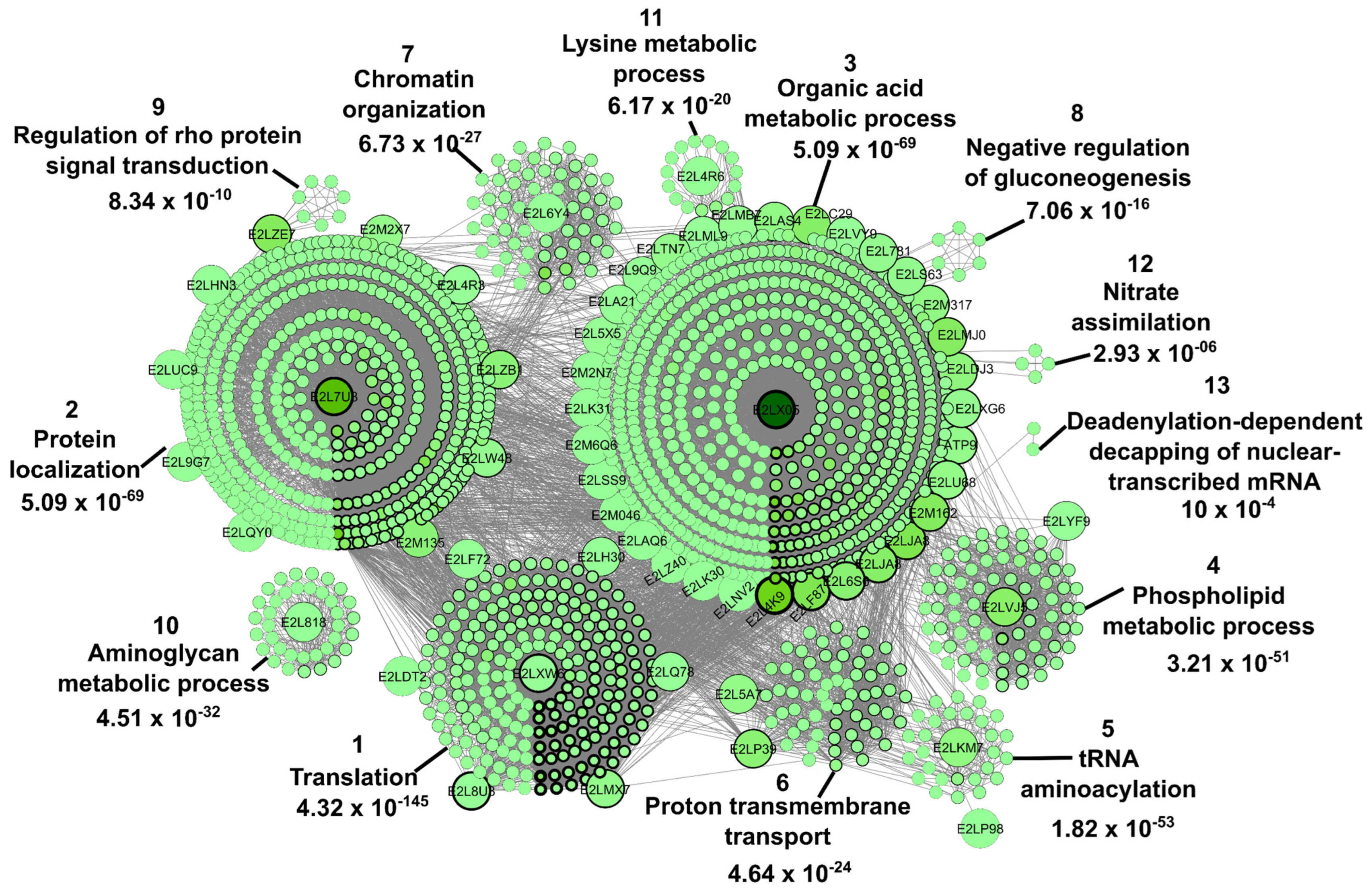 Ijms 24 05684 g007 Ijms 24 05684 g007