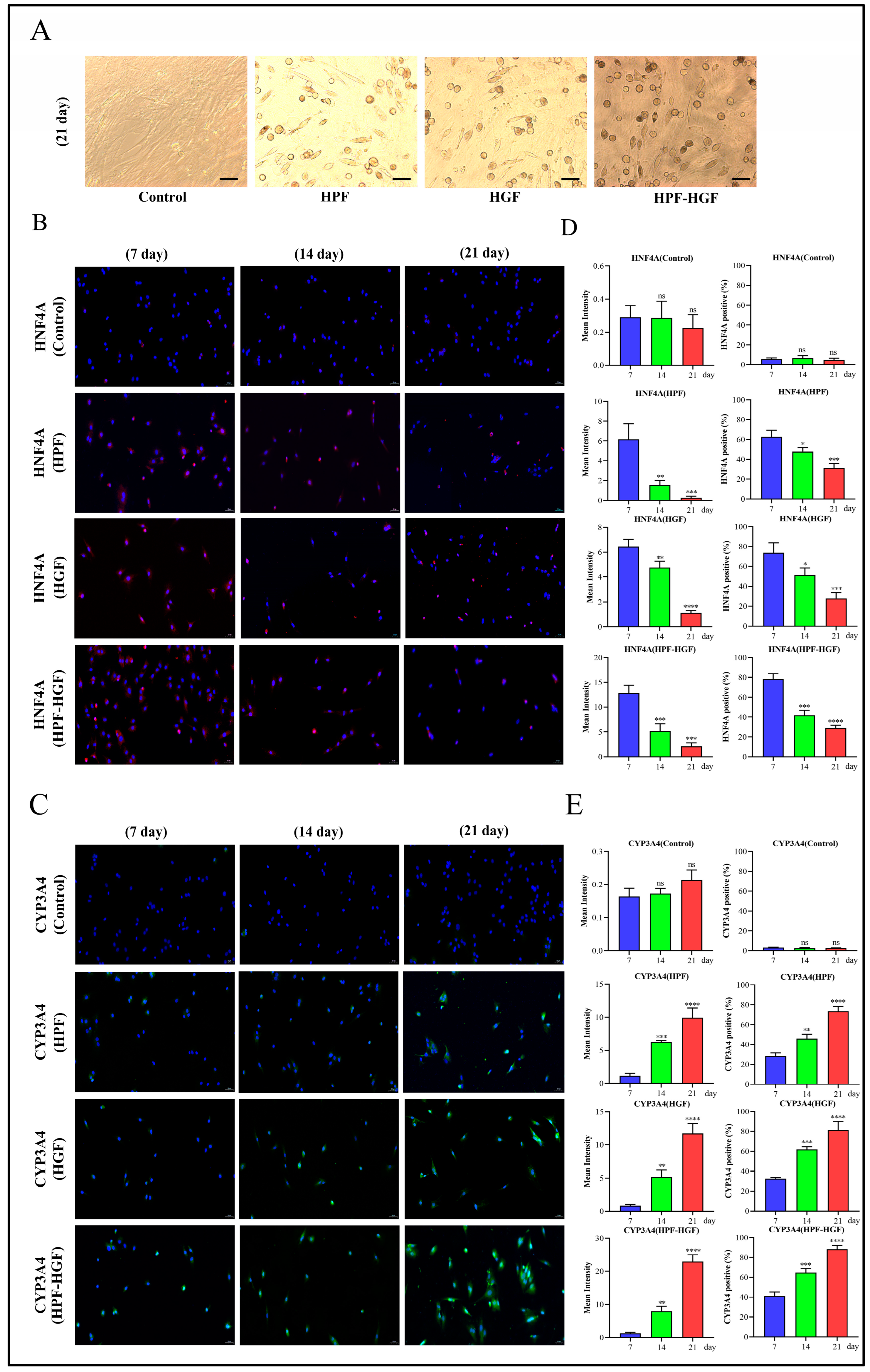 Ijms 24 05686 g003 Ijms 24 05686 g003
