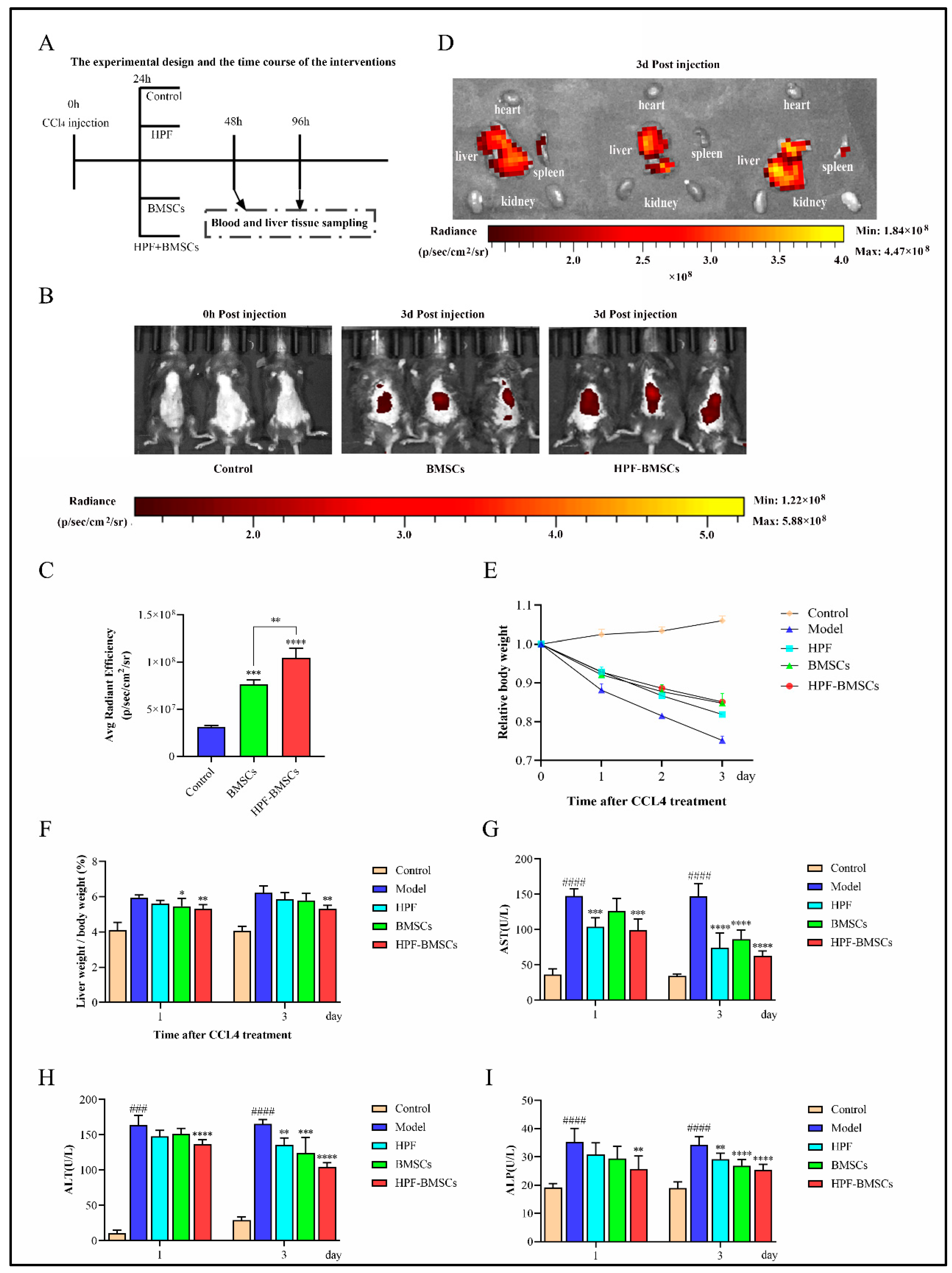 Ijms 24 05686 g005 Ijms 24 05686 g005