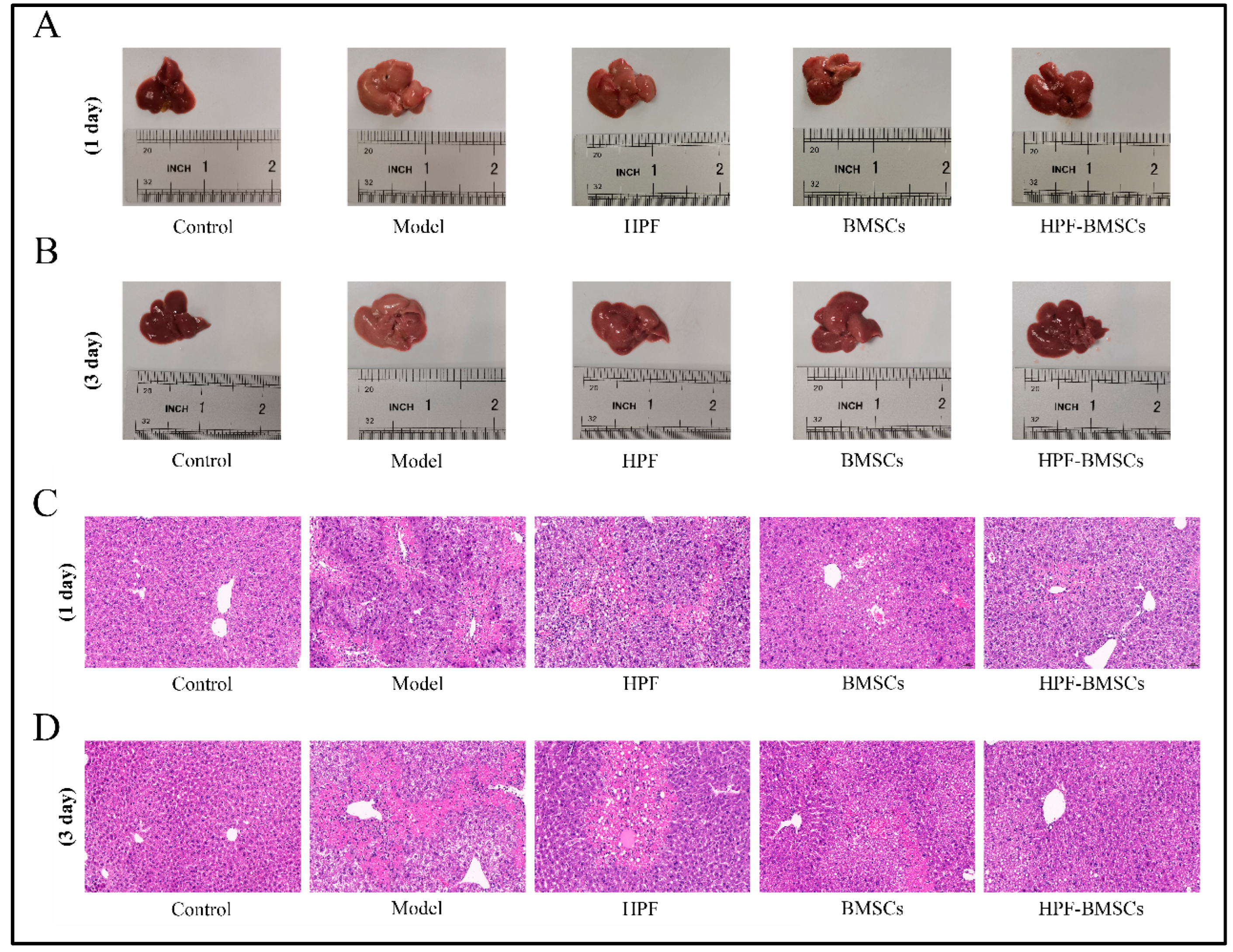 Ijms 24 05686 g006 Ijms 24 05686 g006