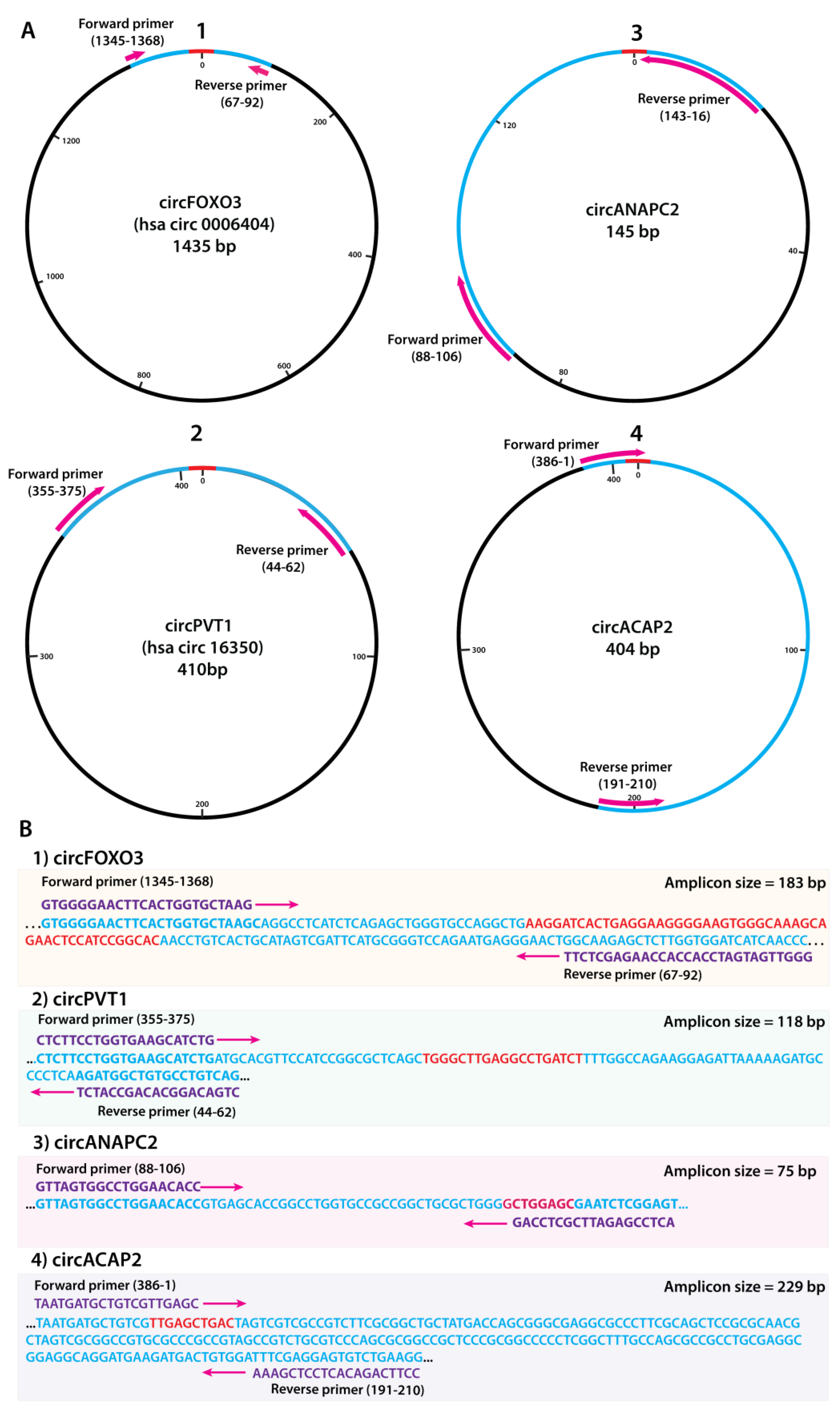 Ijms 24 05721 g002 Ijms 24 05721 g002