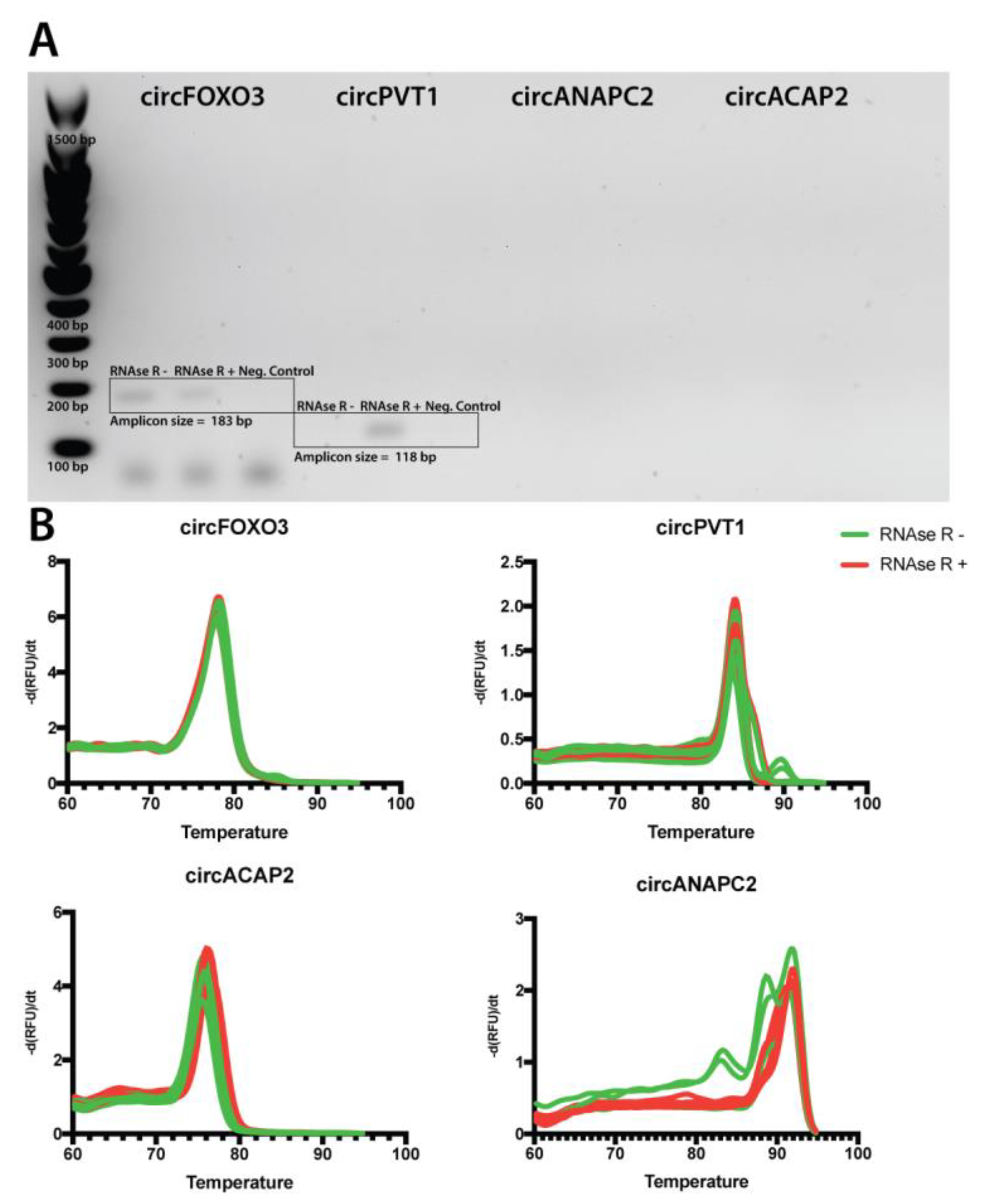 Ijms 24 05721 g003 Ijms 24 05721 g003