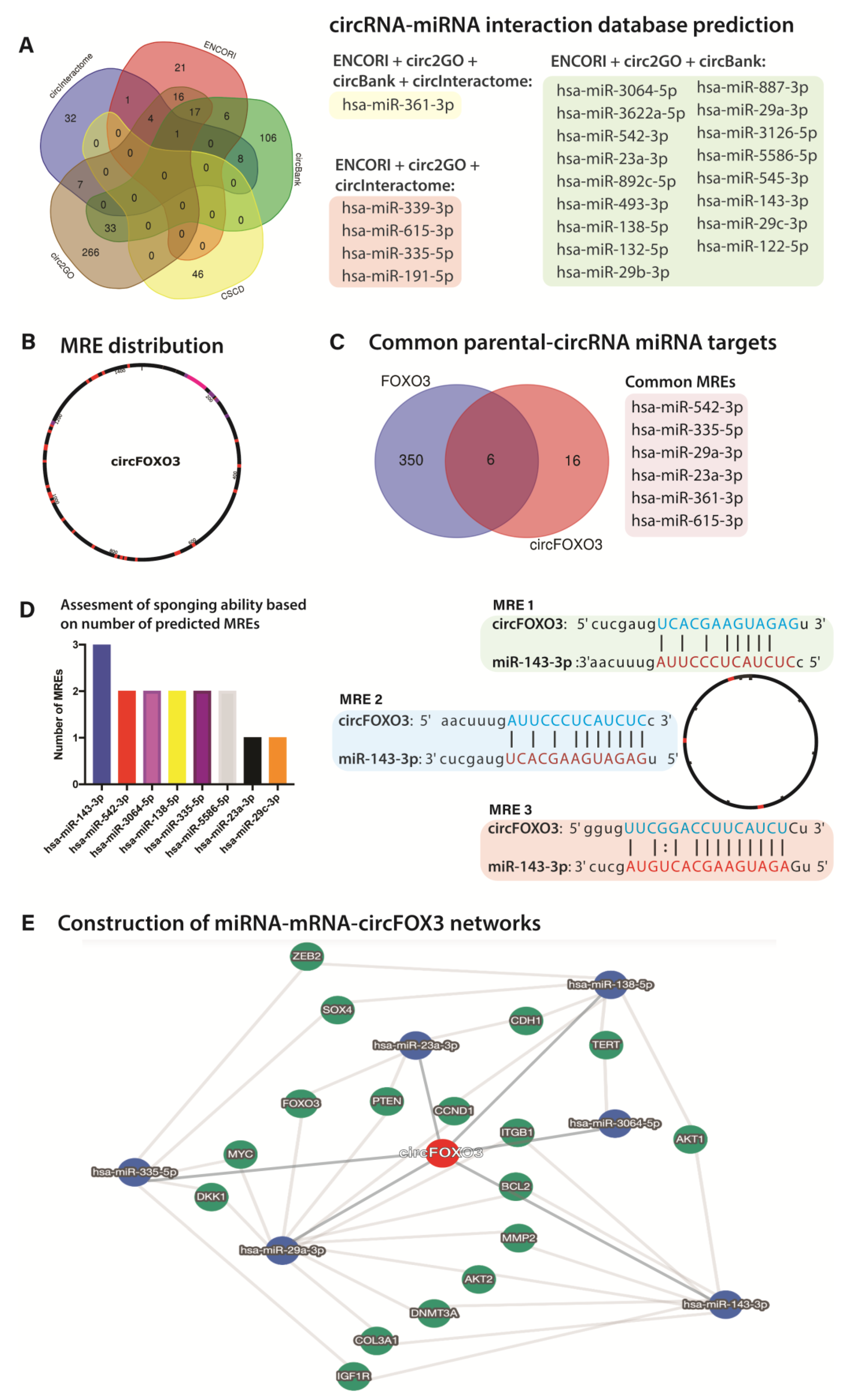 Ijms 24 05721 g006 Ijms 24 05721 g006
