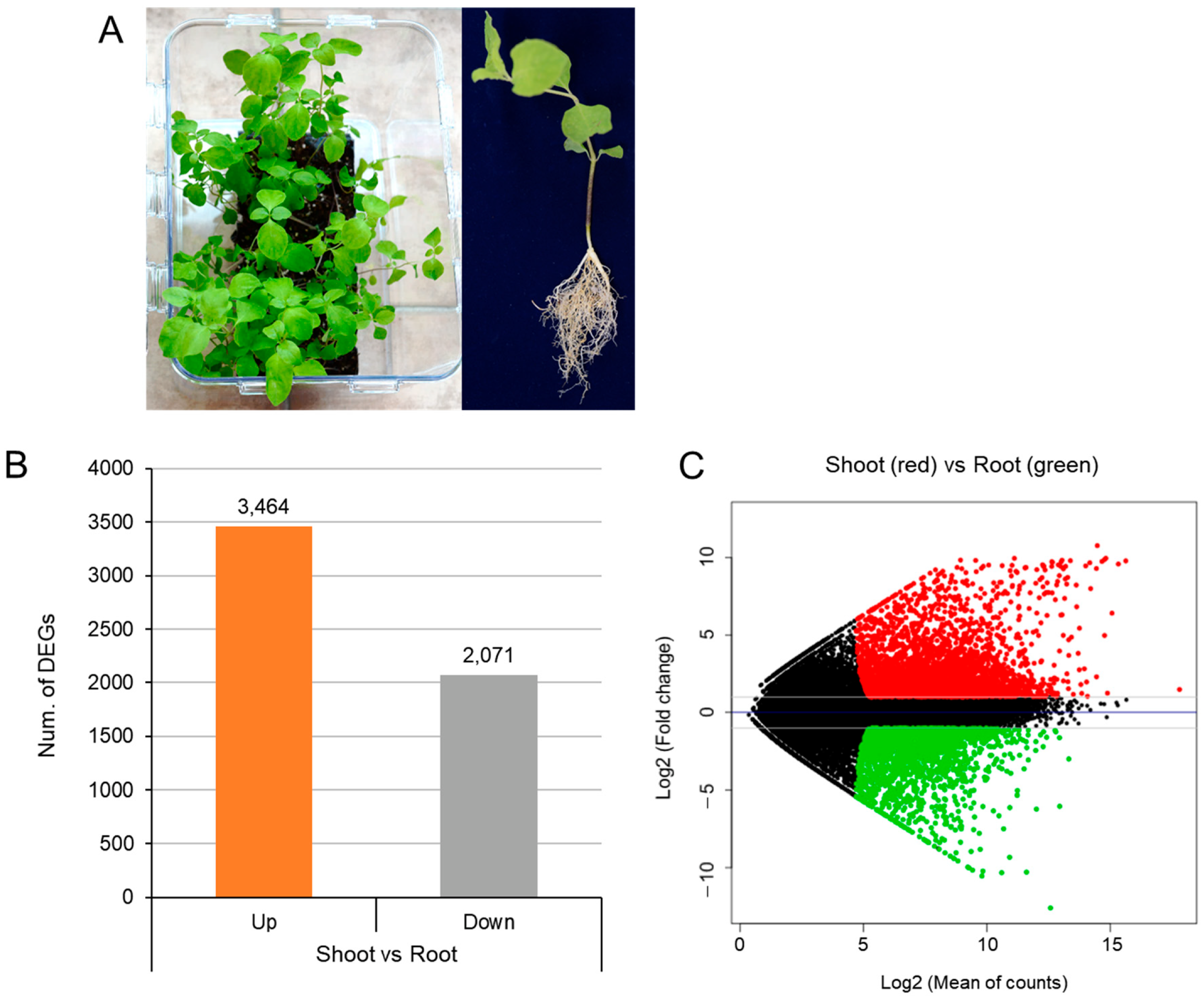 Ijms 24 05769 g002 Ijms 24 05769 g002