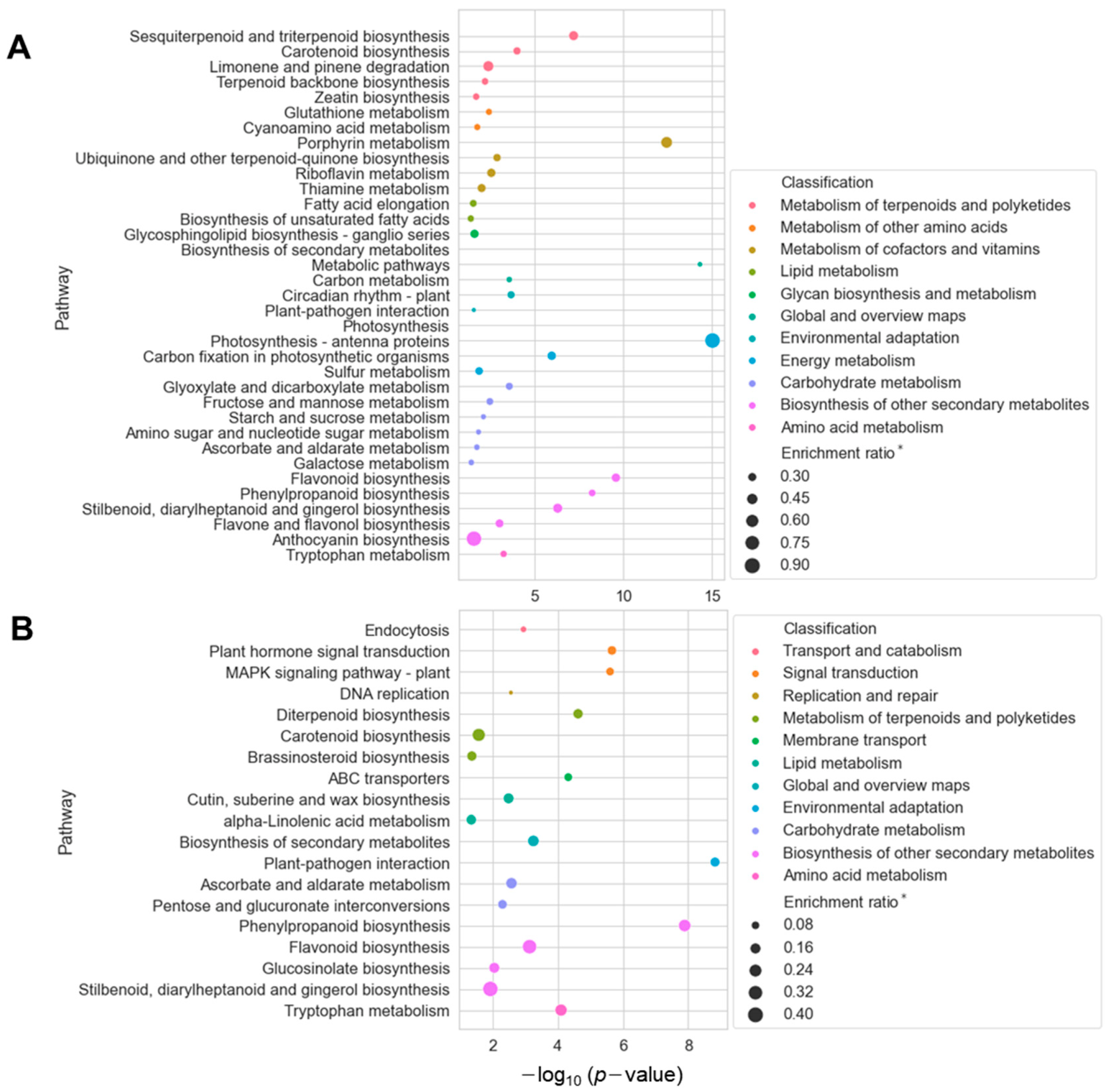 Ijms 24 05769 g003 Ijms 24 05769 g003